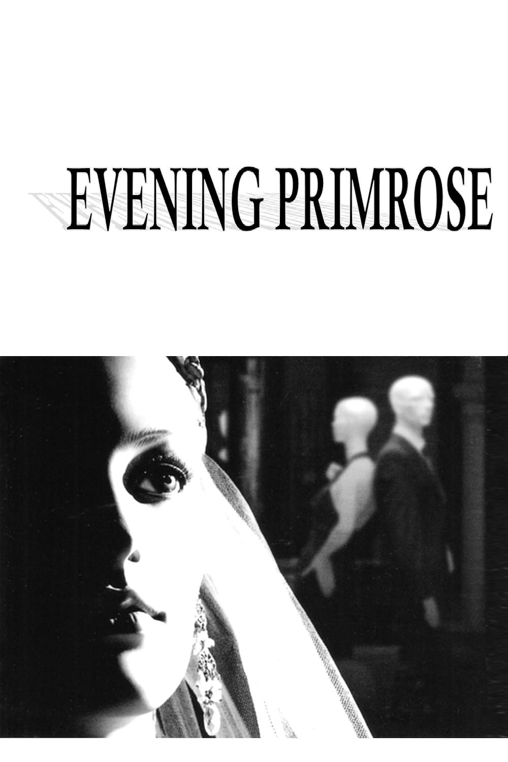 Evening Primrose