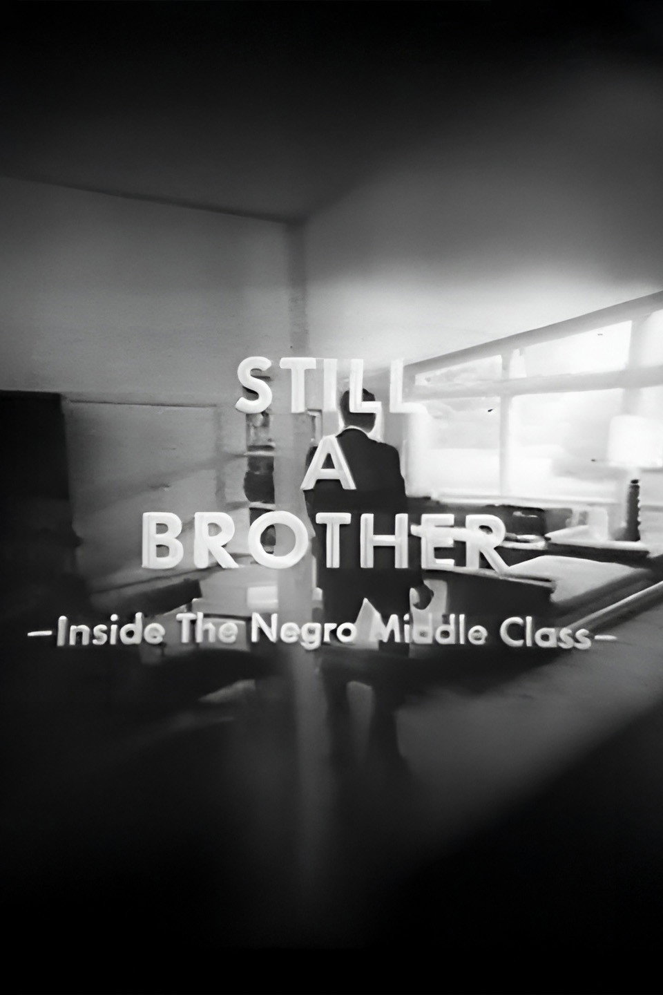 Still A Brother: Inside the Negro Middle Class