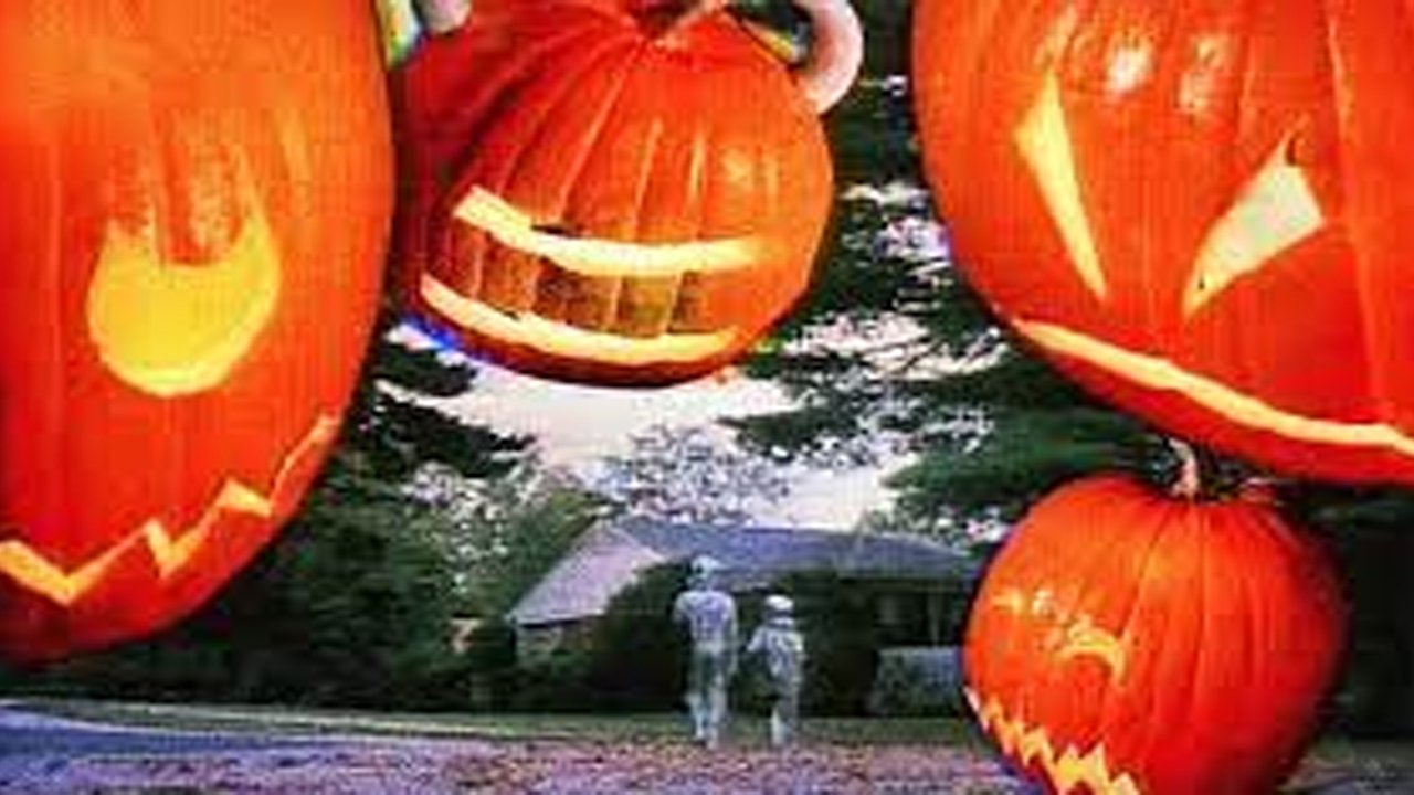 The Adventures of Pete & Pete: Halloweenie (1994)