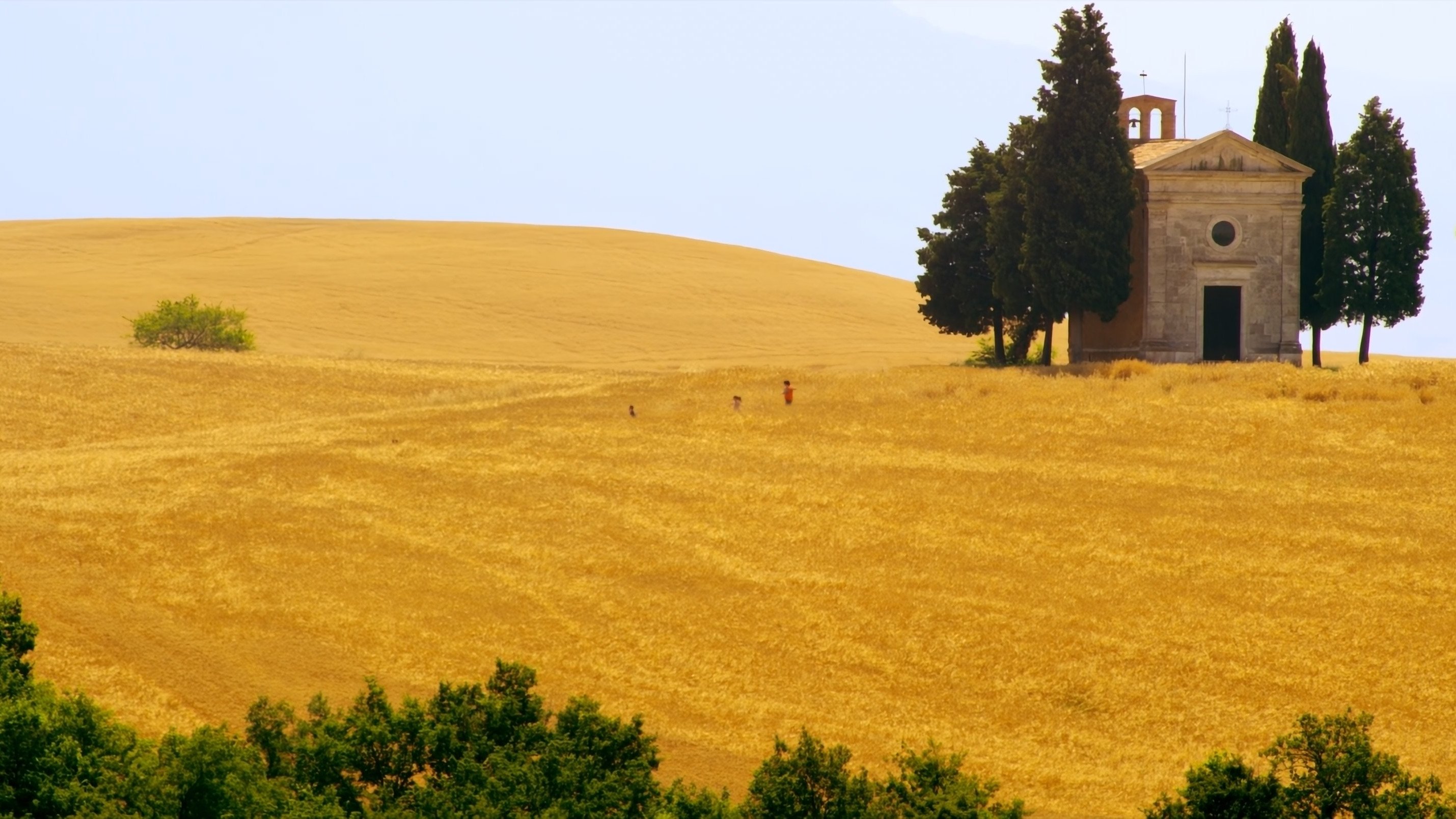Mare di grano (2018)