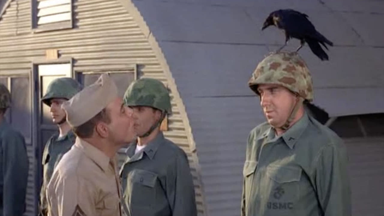 Gomer Pyle, U.S.M.C.