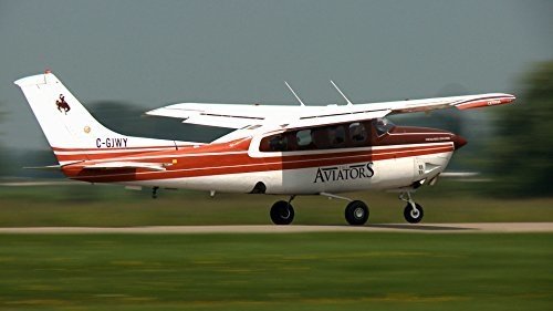 The Aviators