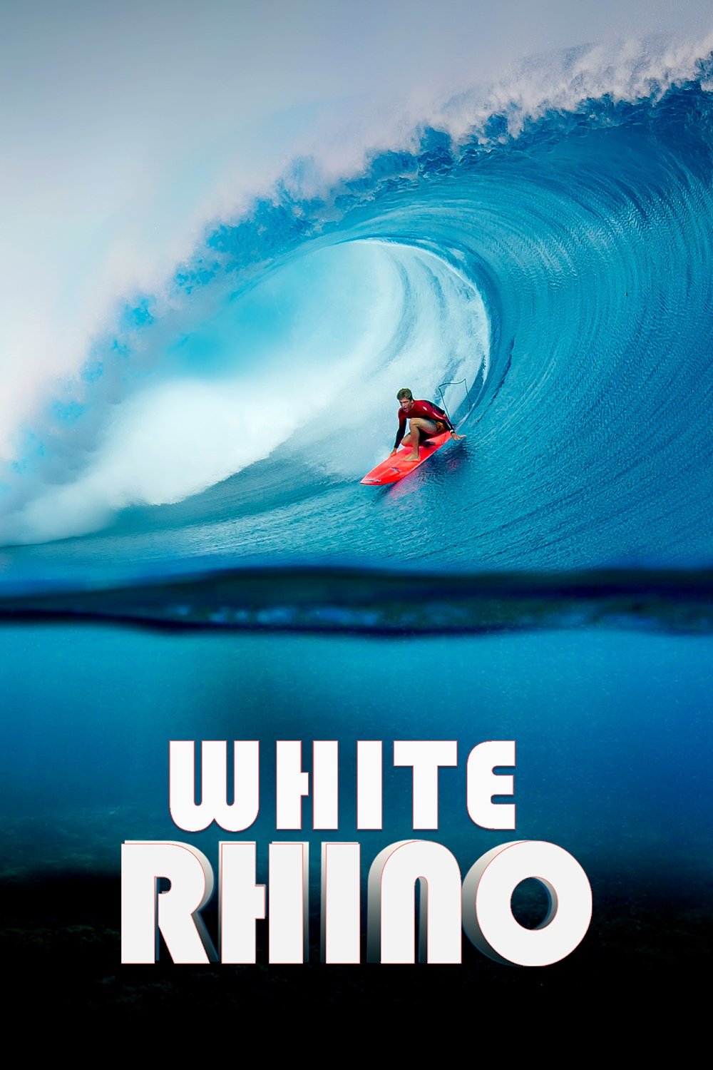 White Rhino