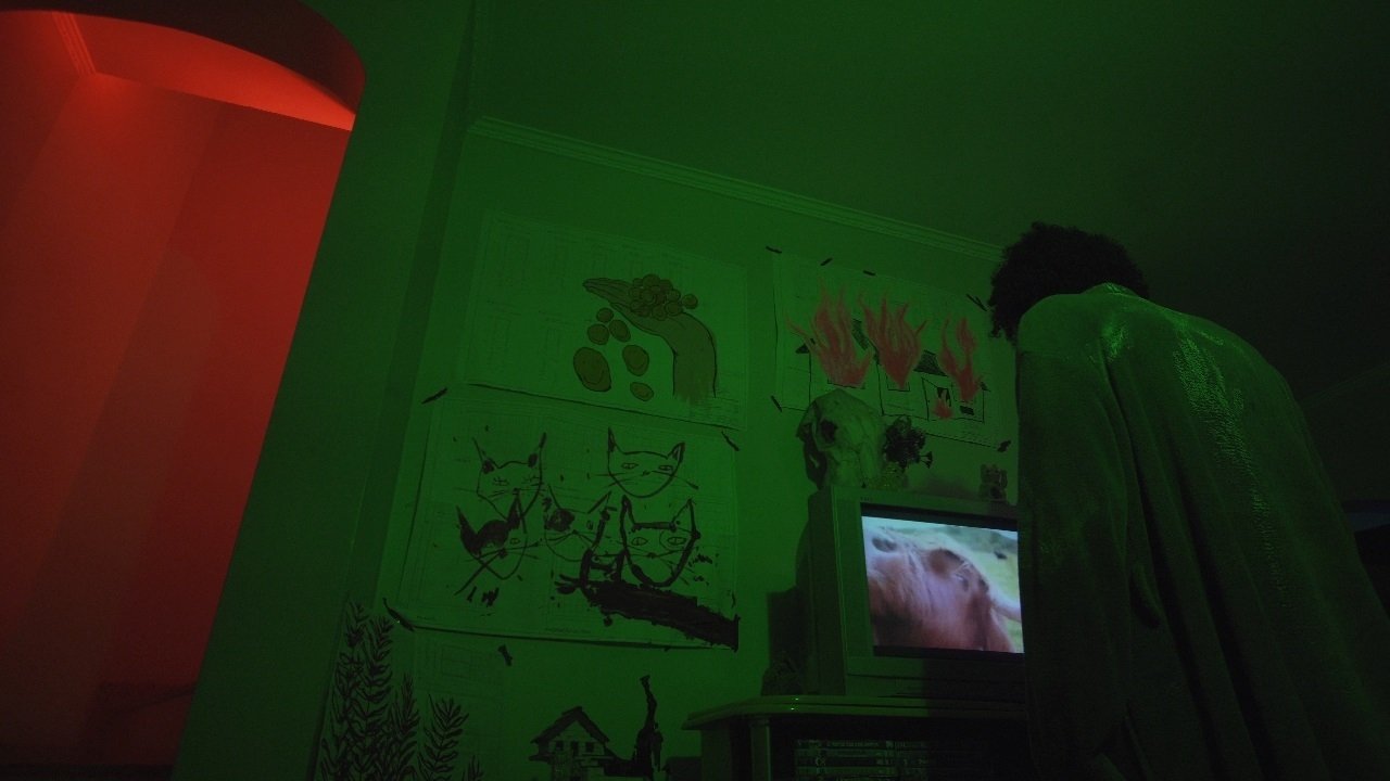 Imagem do Filme Hóspede, Exploração e Recompensa