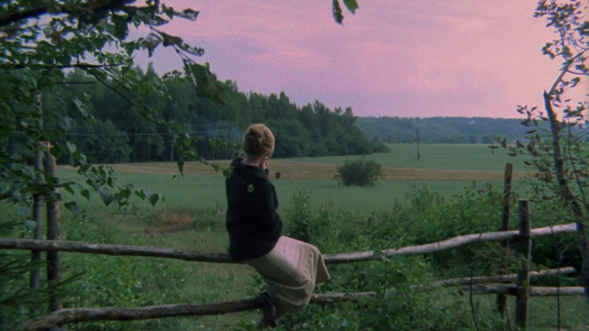 Le Miroir (1975)