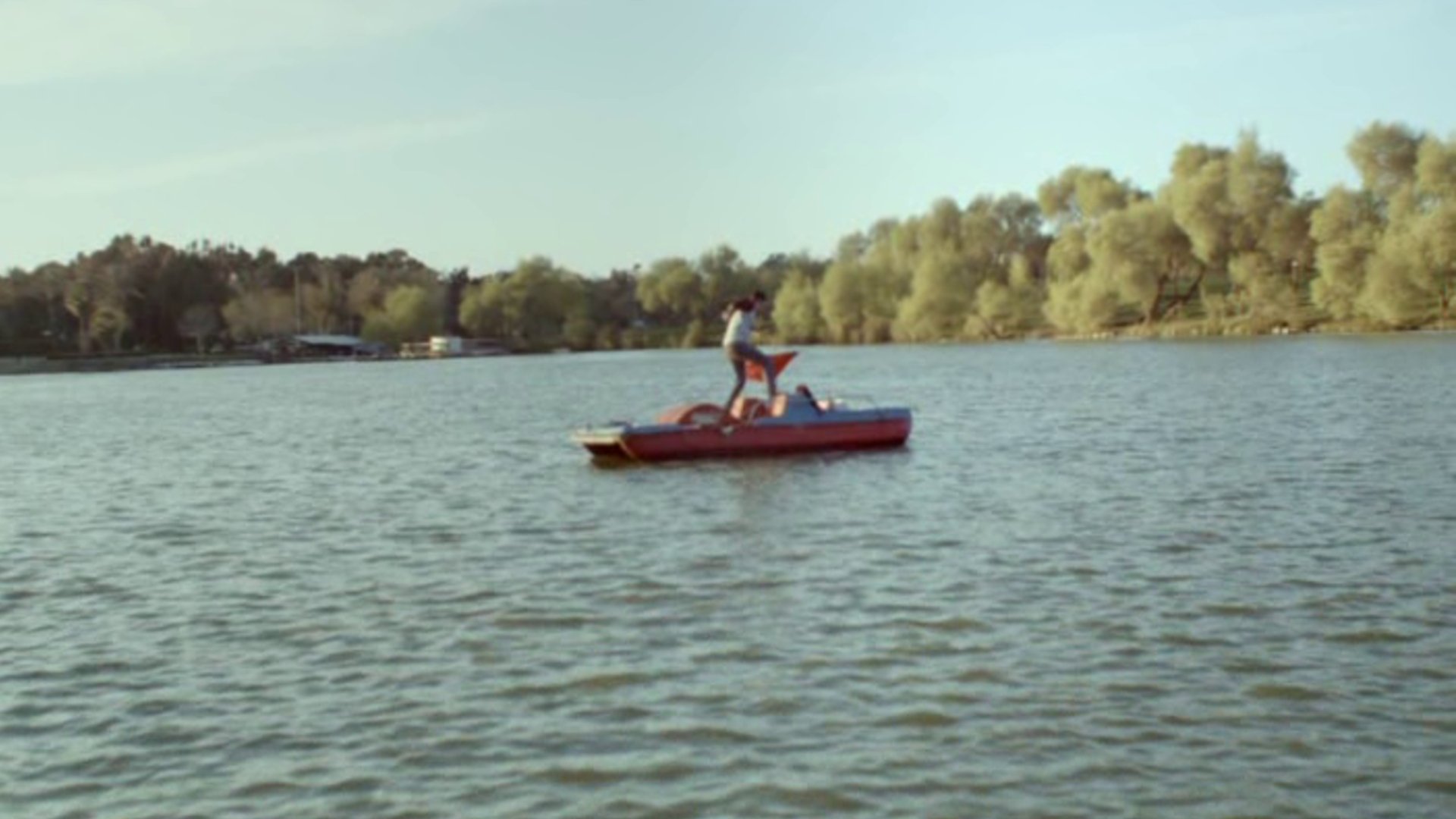 Cats on a Pedal Boat