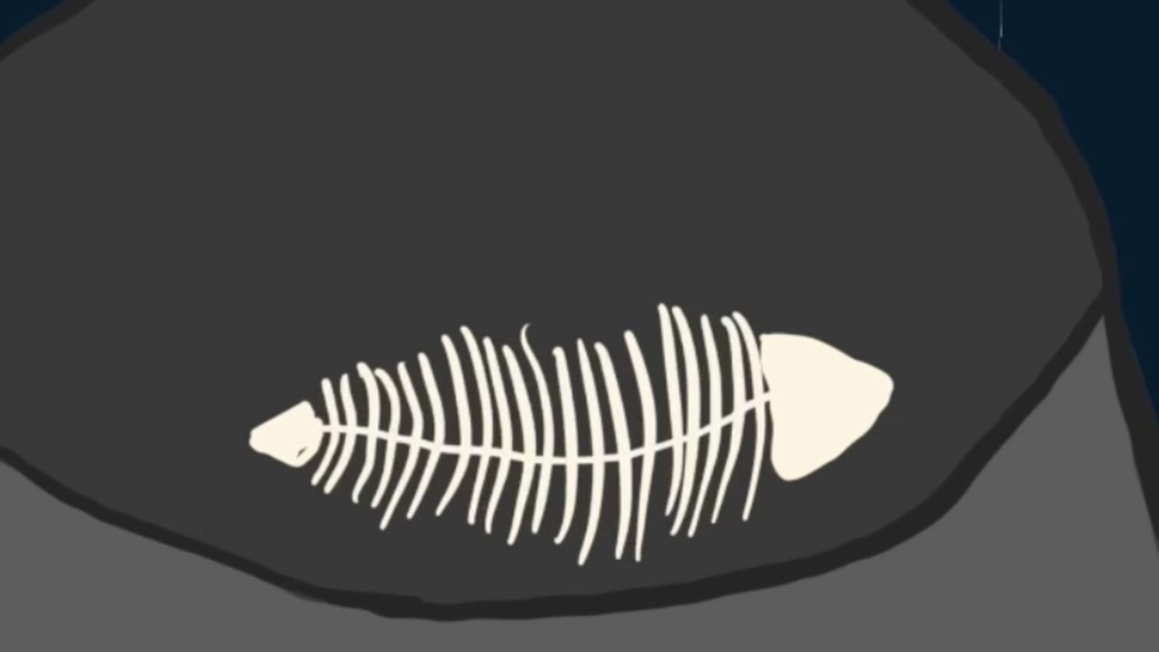 Жовтий кіт з блакитними очима