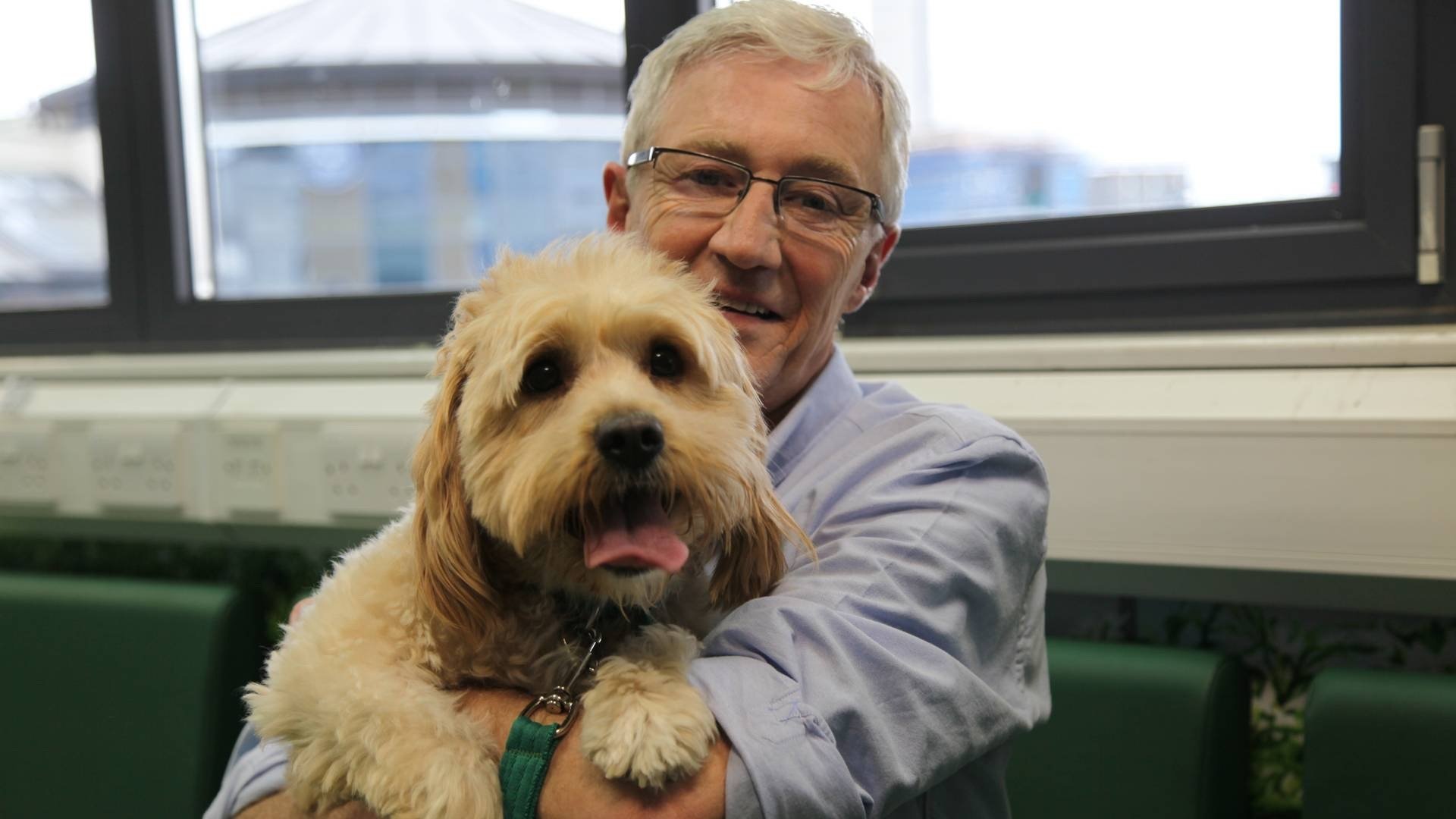 Paul O'Grady, pour l'amour des chiens - Épisode 8