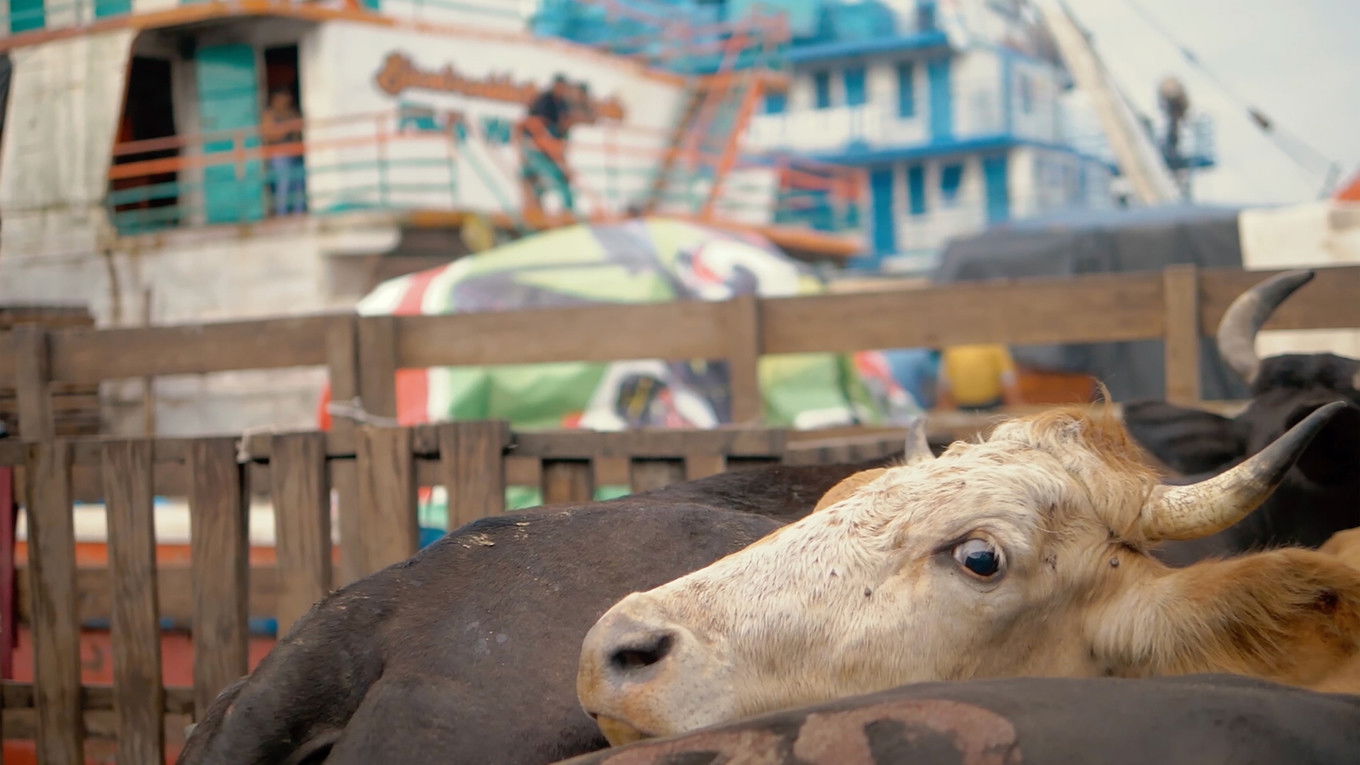 Imagem do Filme Ciclo de carga