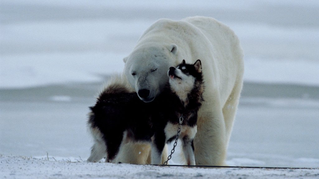Nature's Weirdest Events