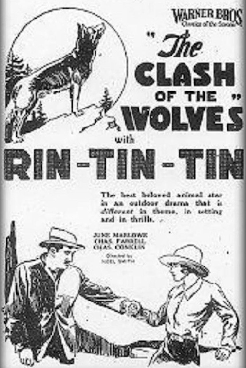 Clash of the Wolves