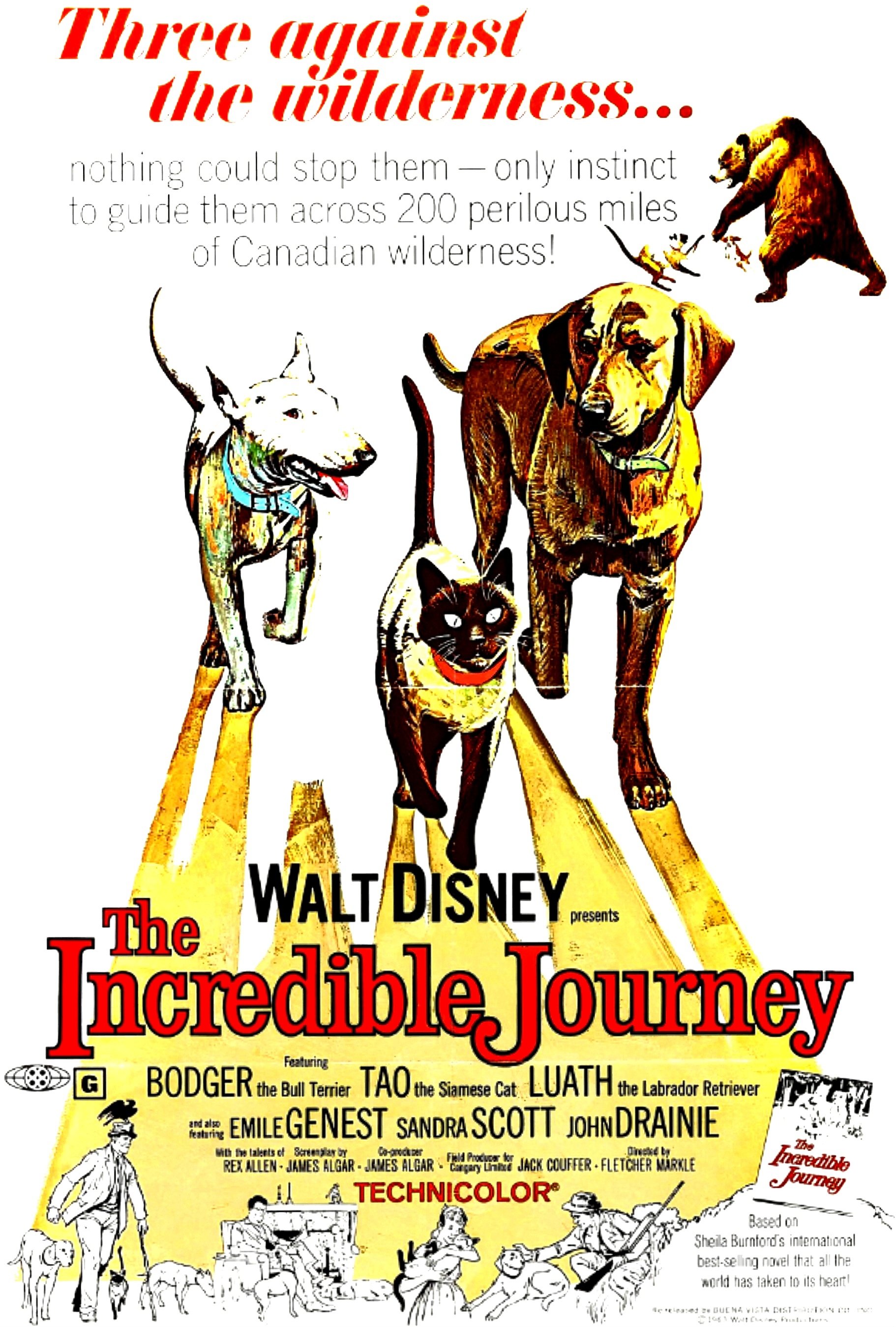 The Incredible Journey