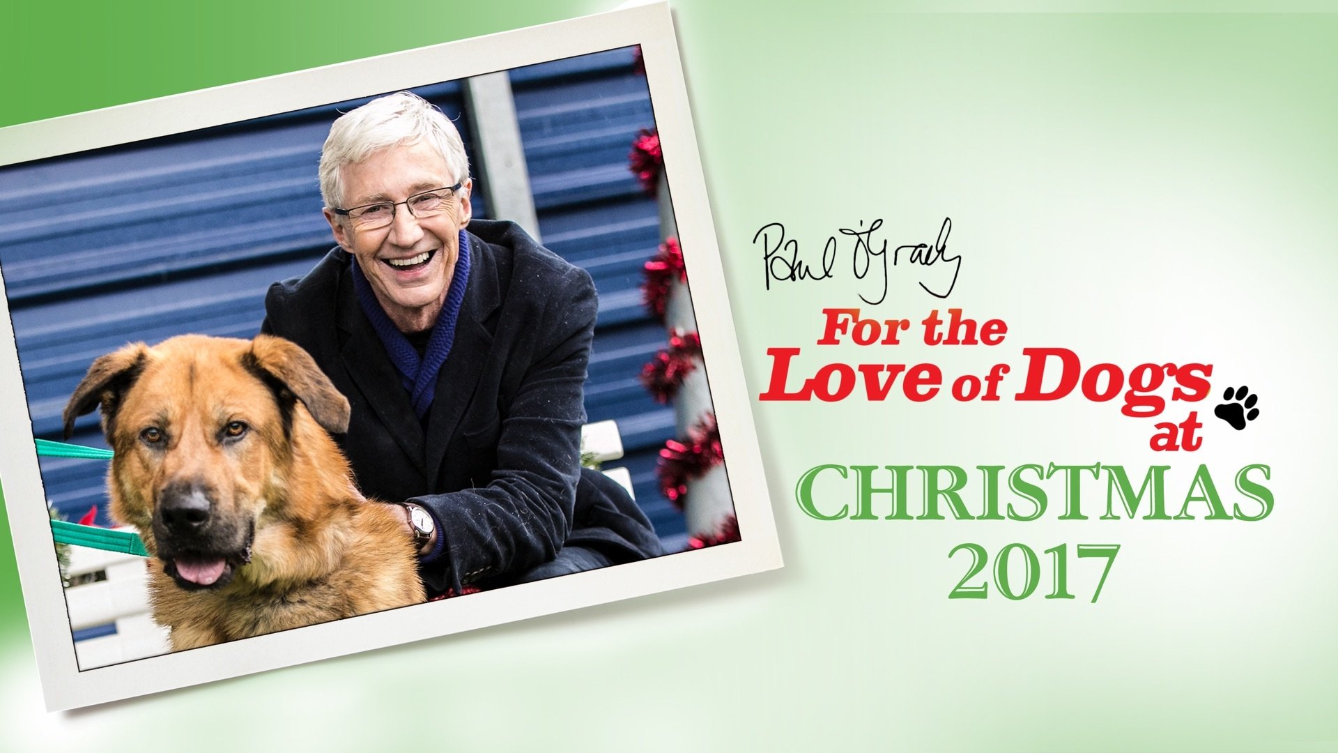 Paul O'Grady, pour l'amour des chiens - Épisode 4
