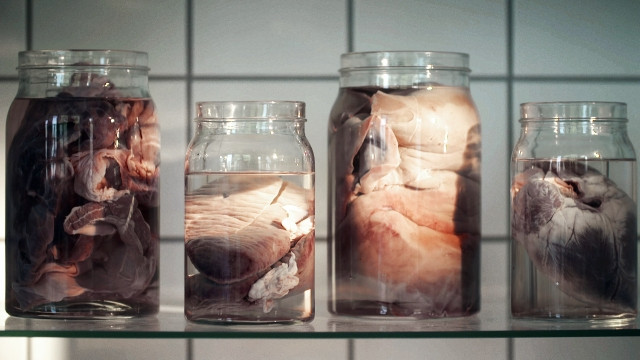 Thumbnail for Episode 4 Season 1 Episode 4