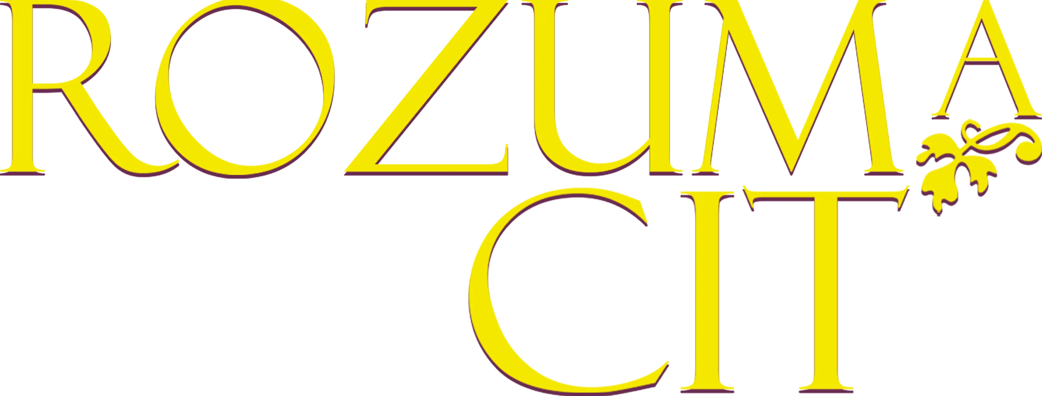 Rozum a cit