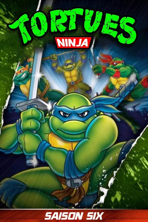 Artwork de la saison 1 de Les Tortues Ninja : Les Chevaliers d'écaille