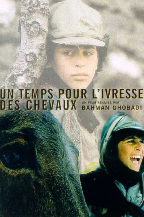 Affiche du film Un temps pour l'ivresse des chevaux 141736