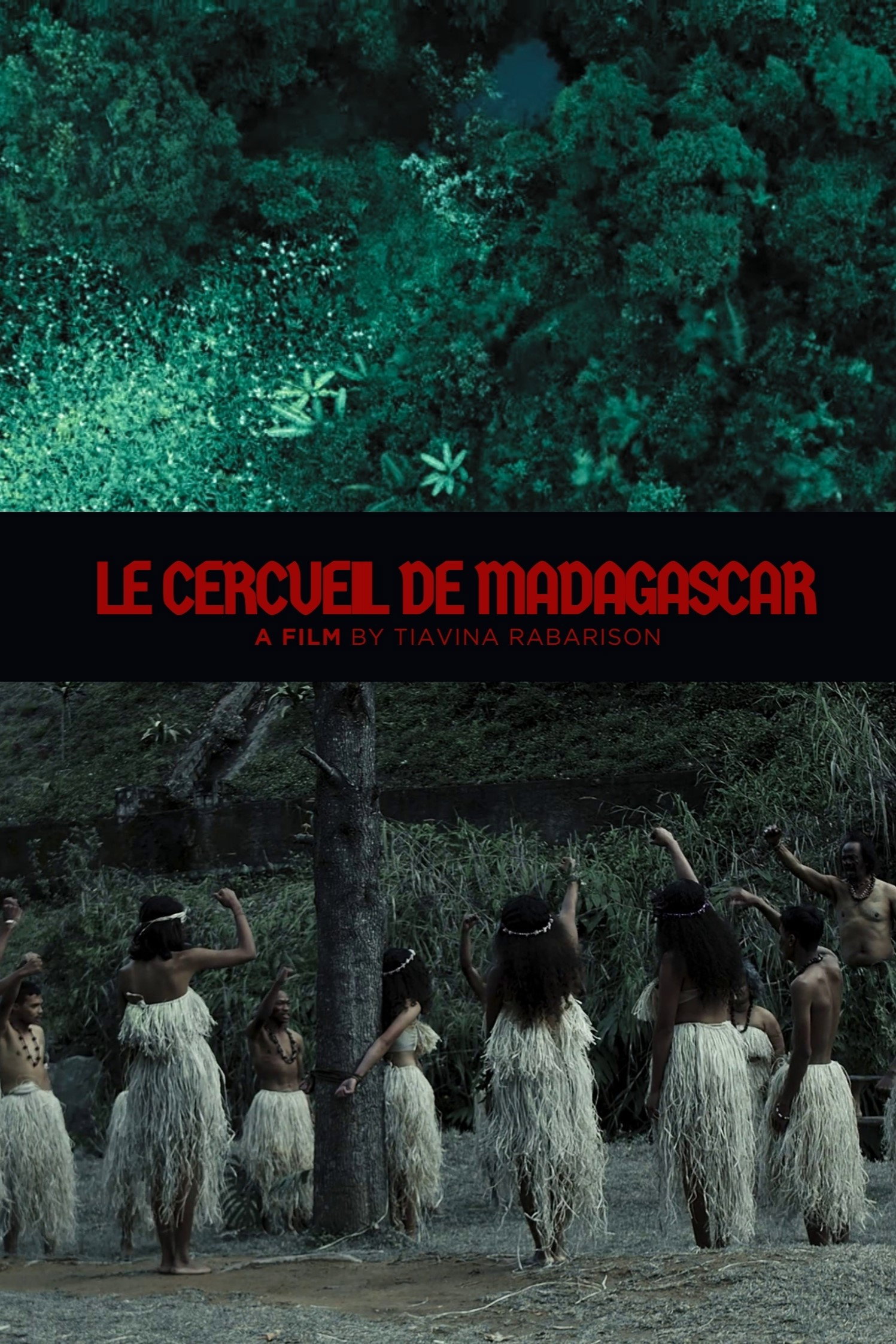 Cercueil de Madagascar poster