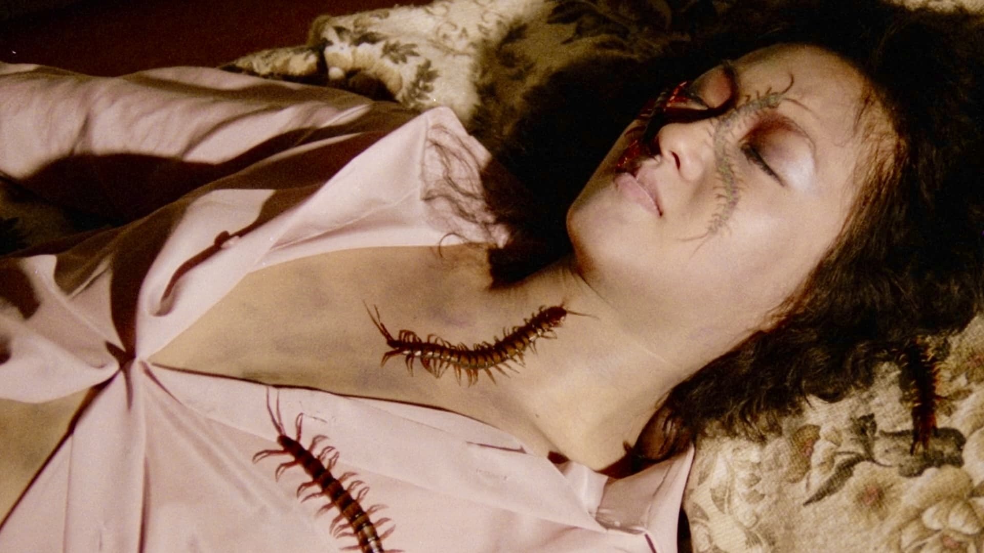 Centipede Horror (1982)