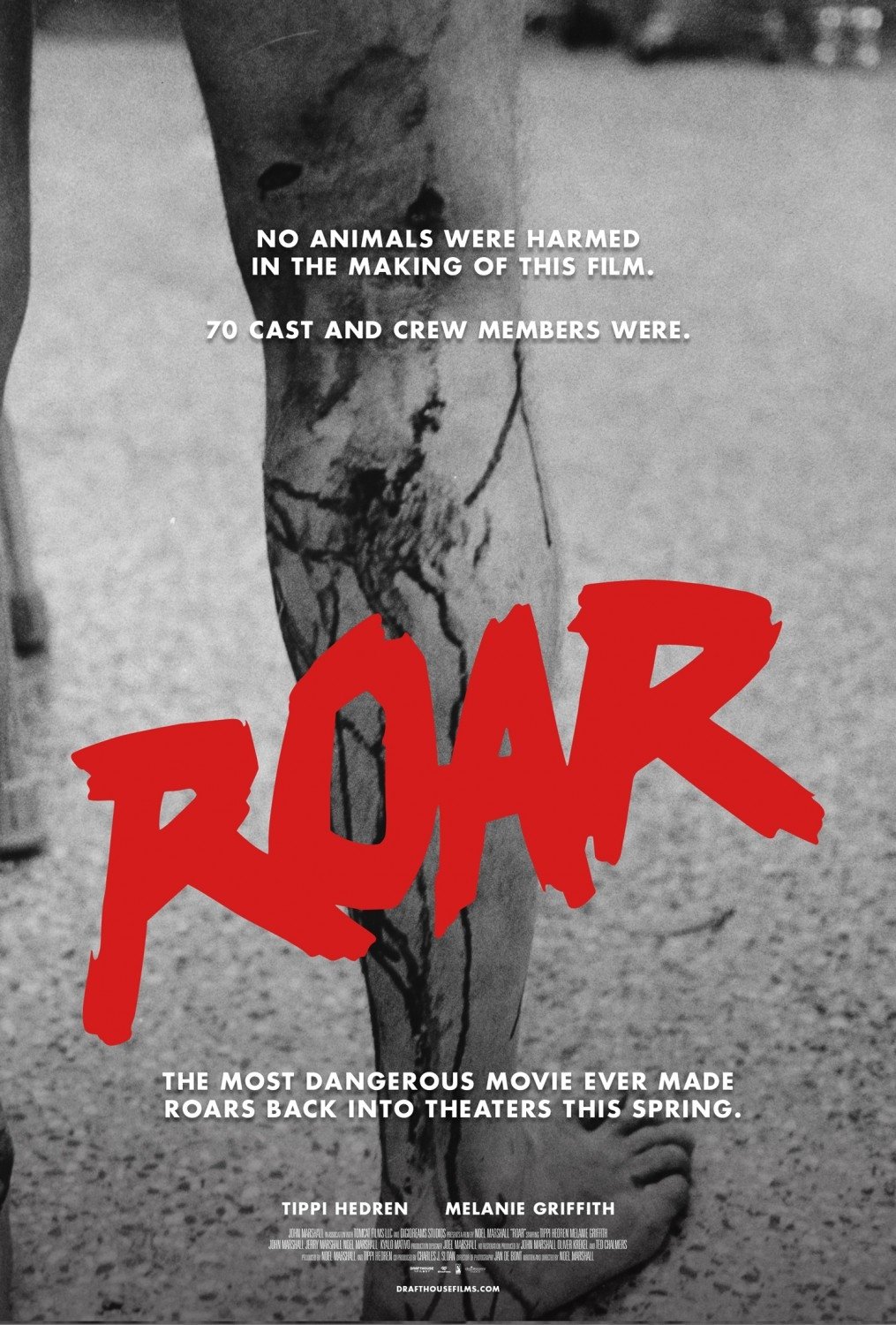Roar