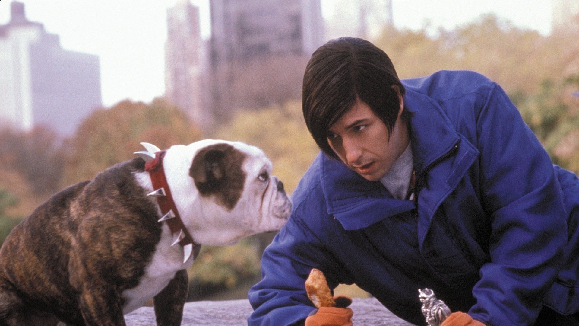 Little Nicky