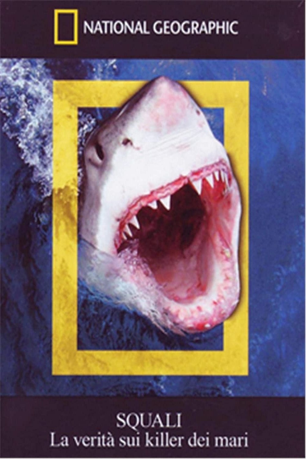 Content cover