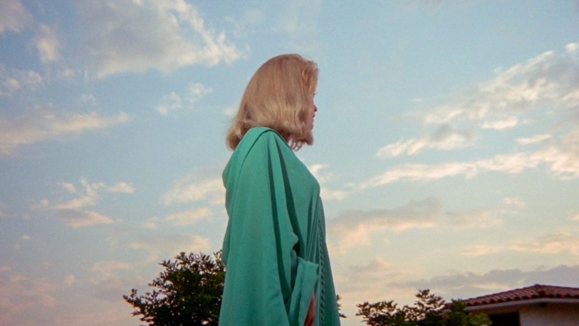 Point of Terror (1971)