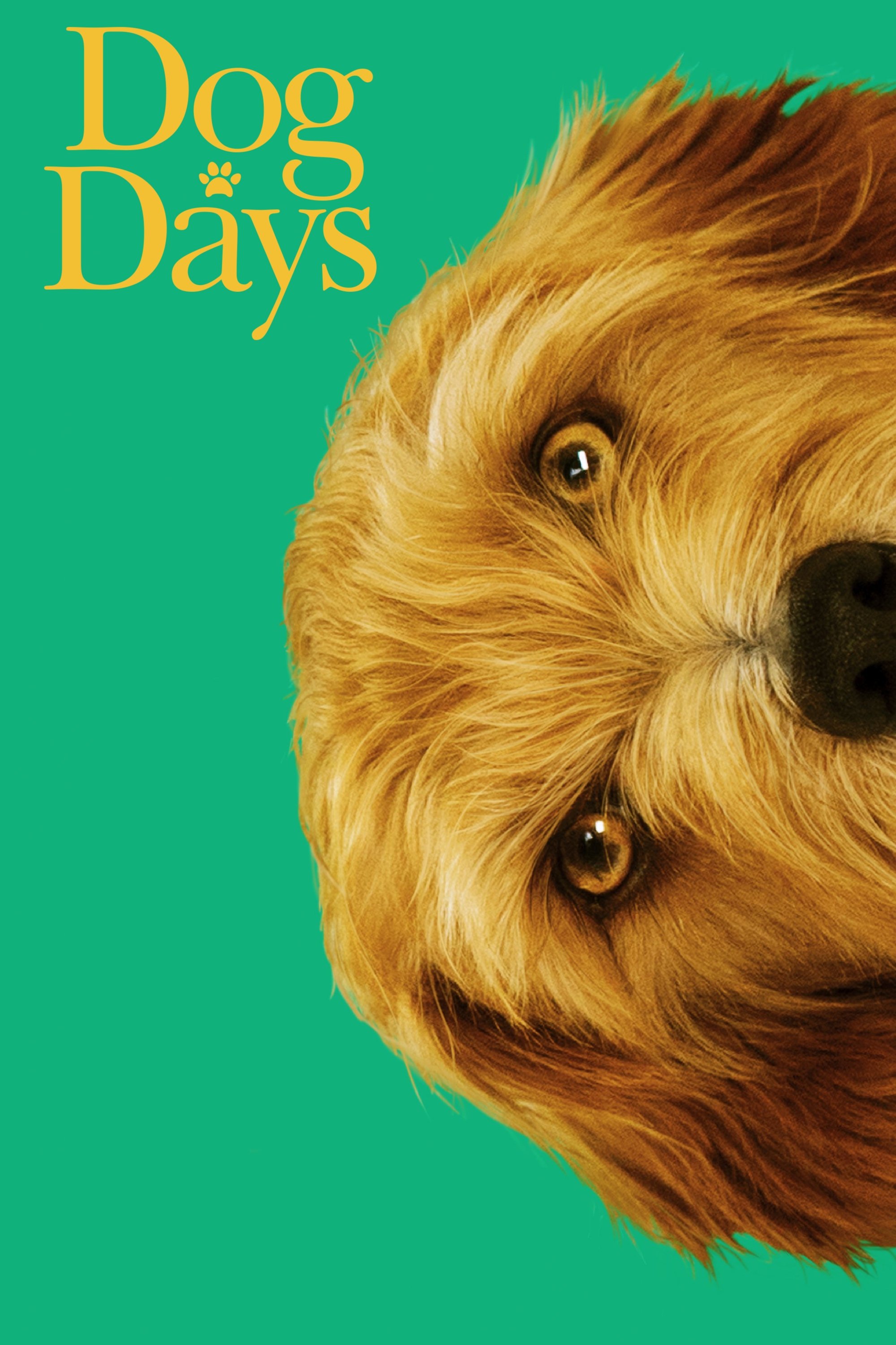 Dog Days