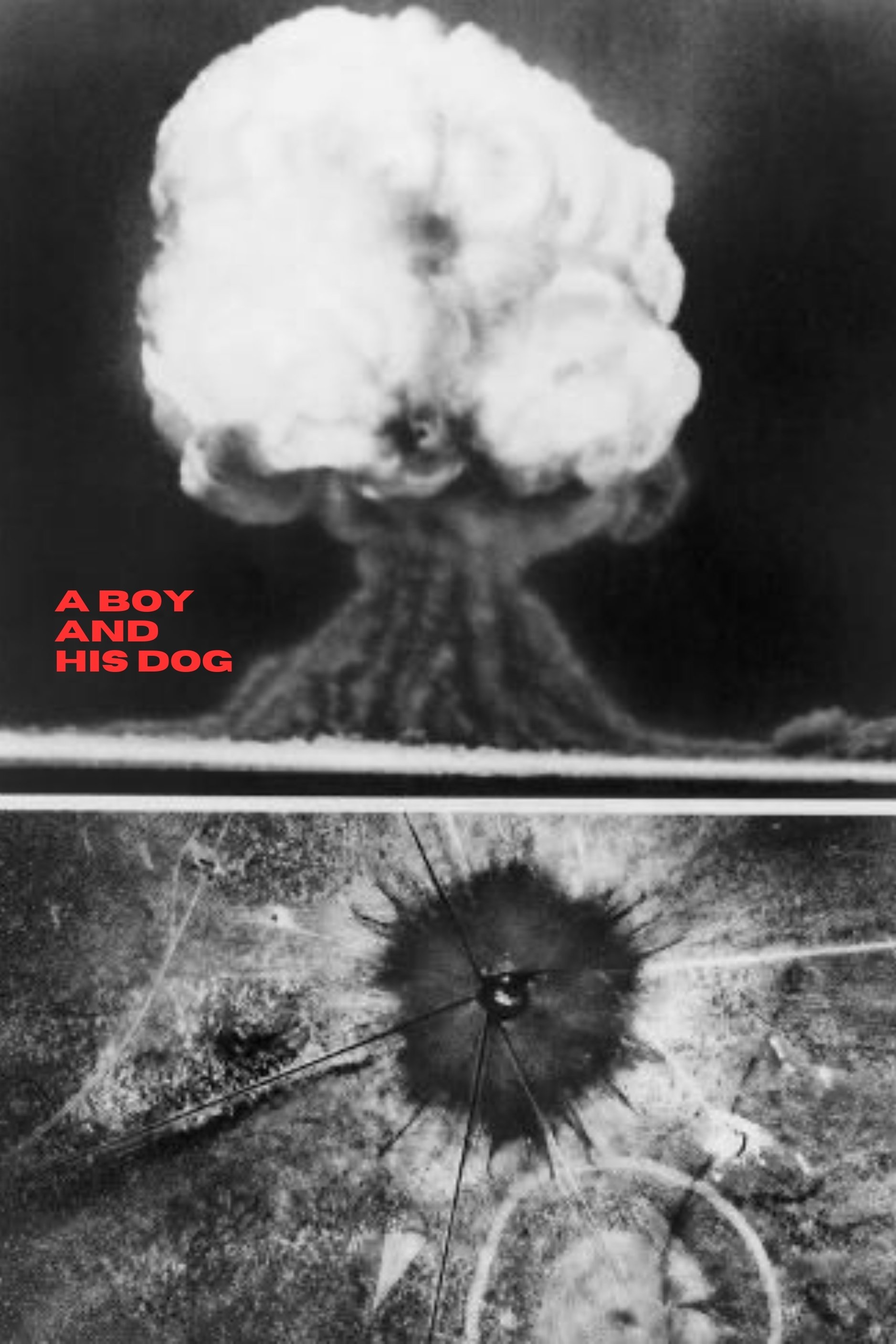 A Boy and His Dog