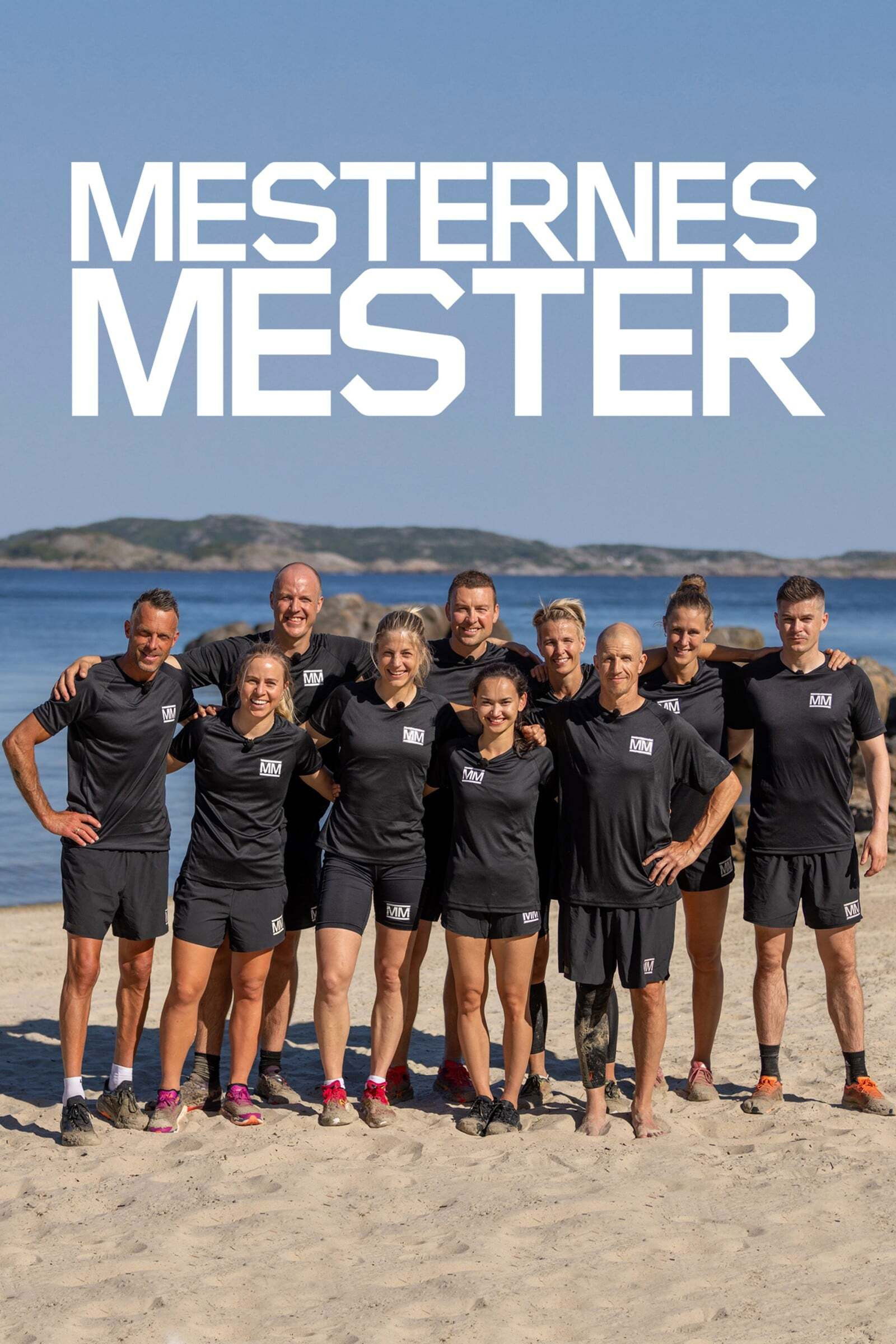 Mesternes mester - Season 15