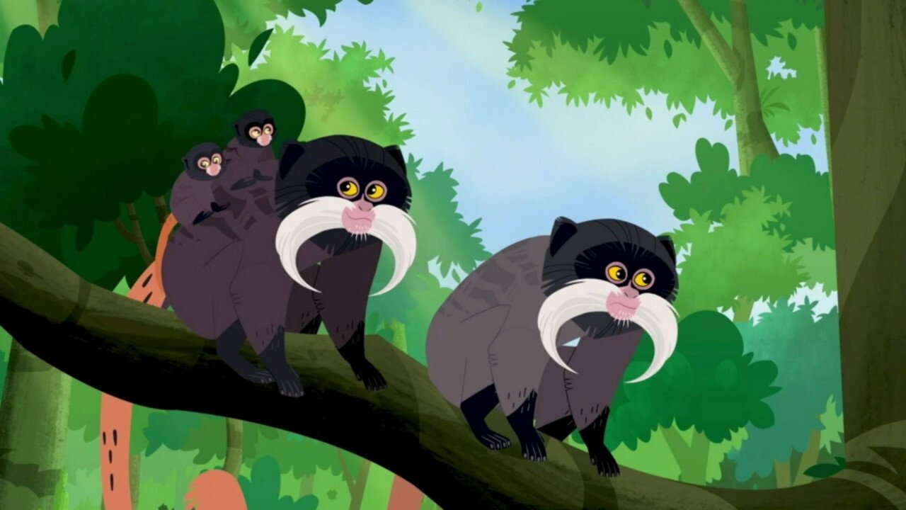 Wild Kratts - Épisode 7
