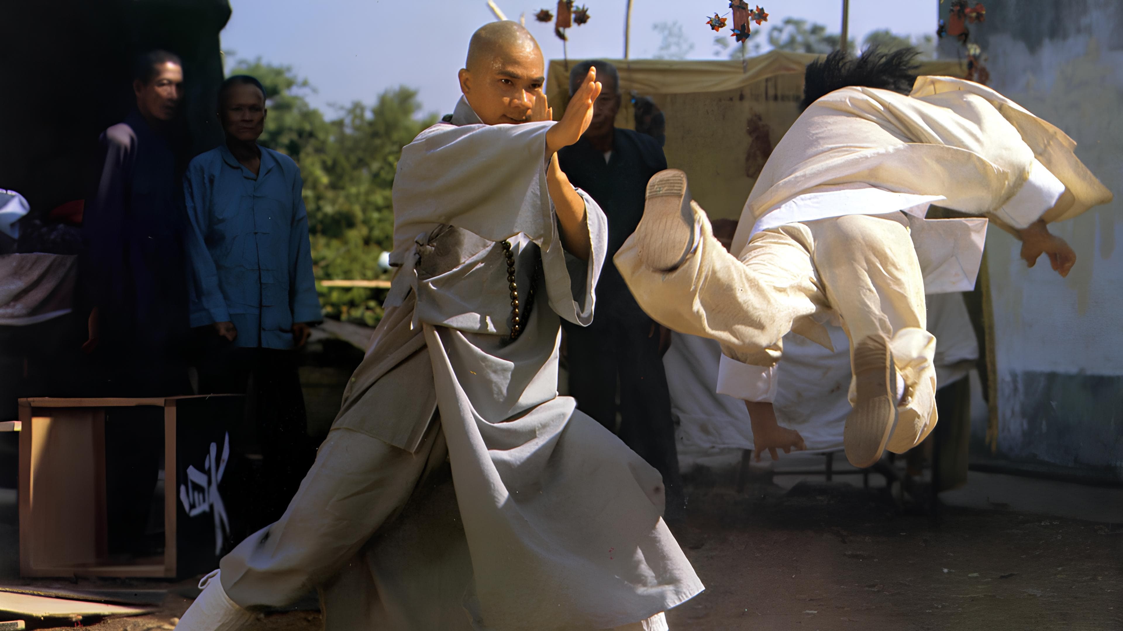 The Buddhist Fist