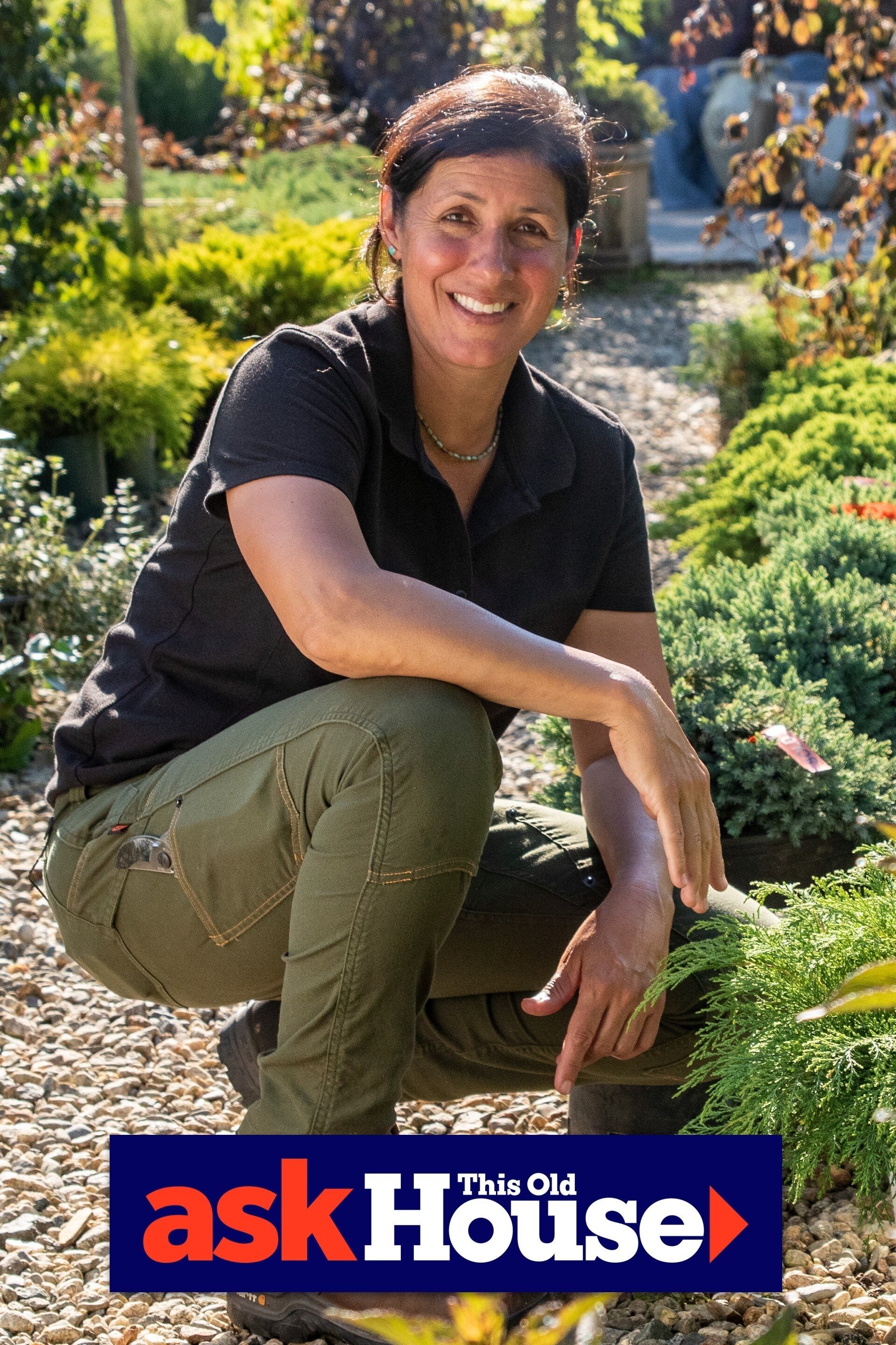 poster season Season 20 poster season Season 20