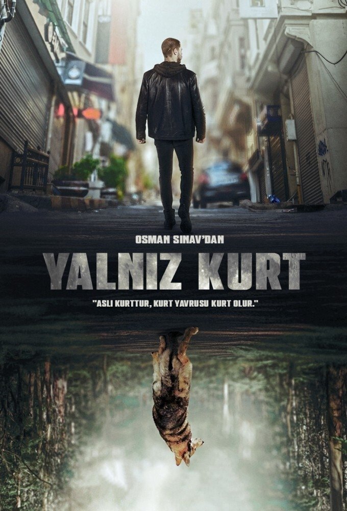 Content cover