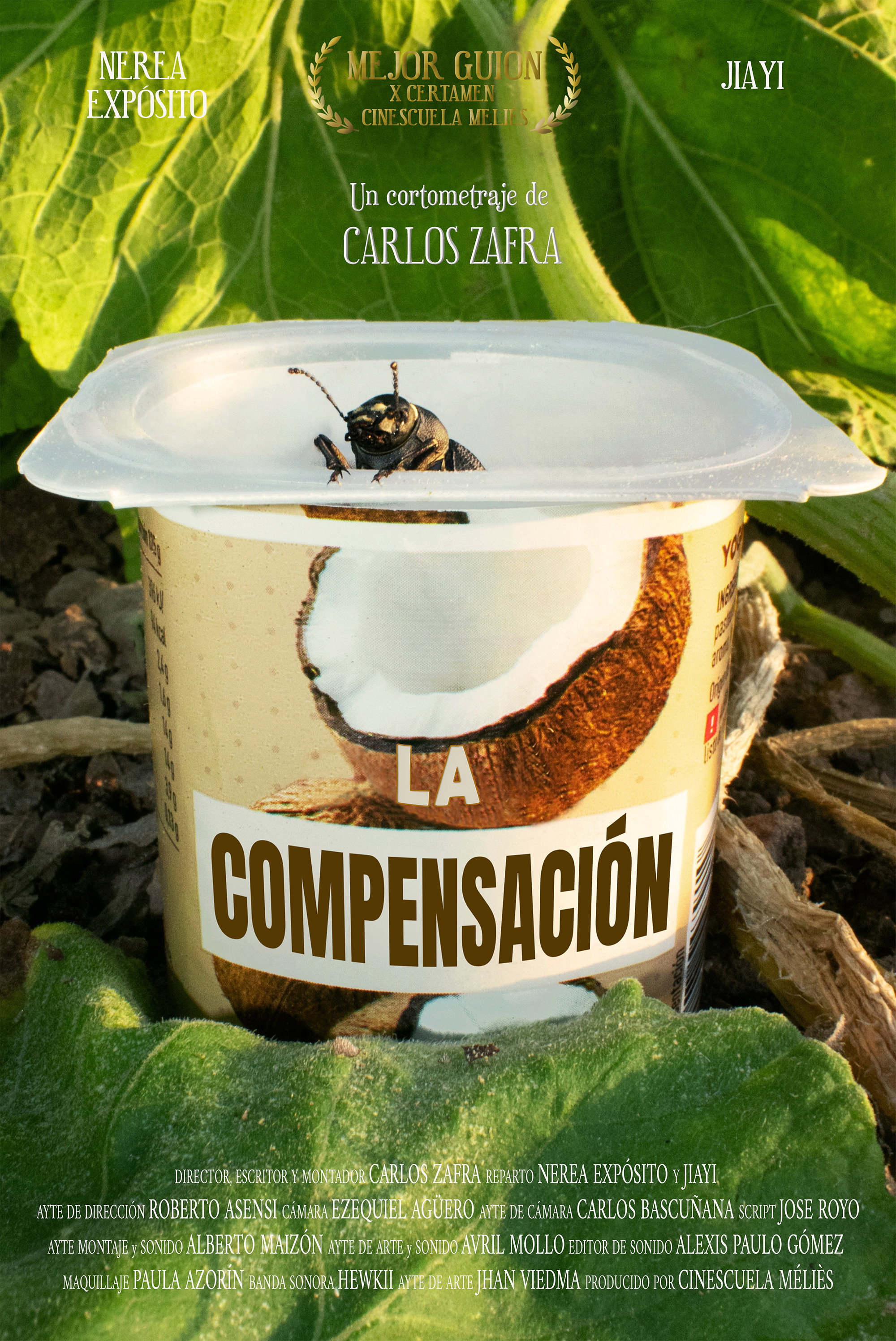 La Compensaci&oacute;n