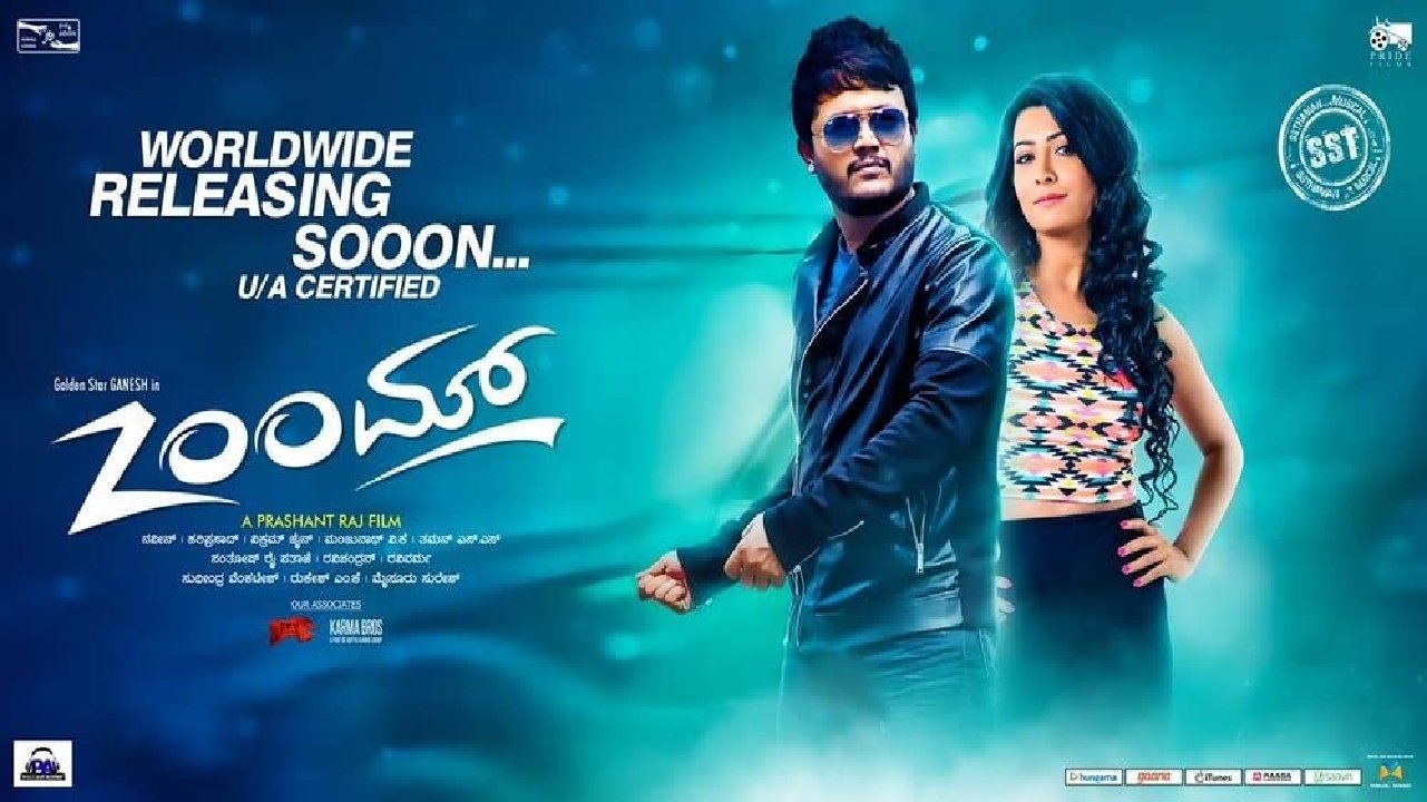 Zoom (2016)