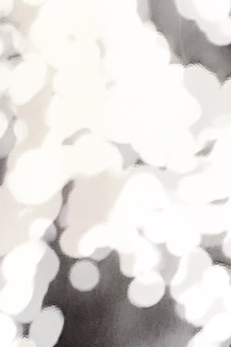 Content cover
