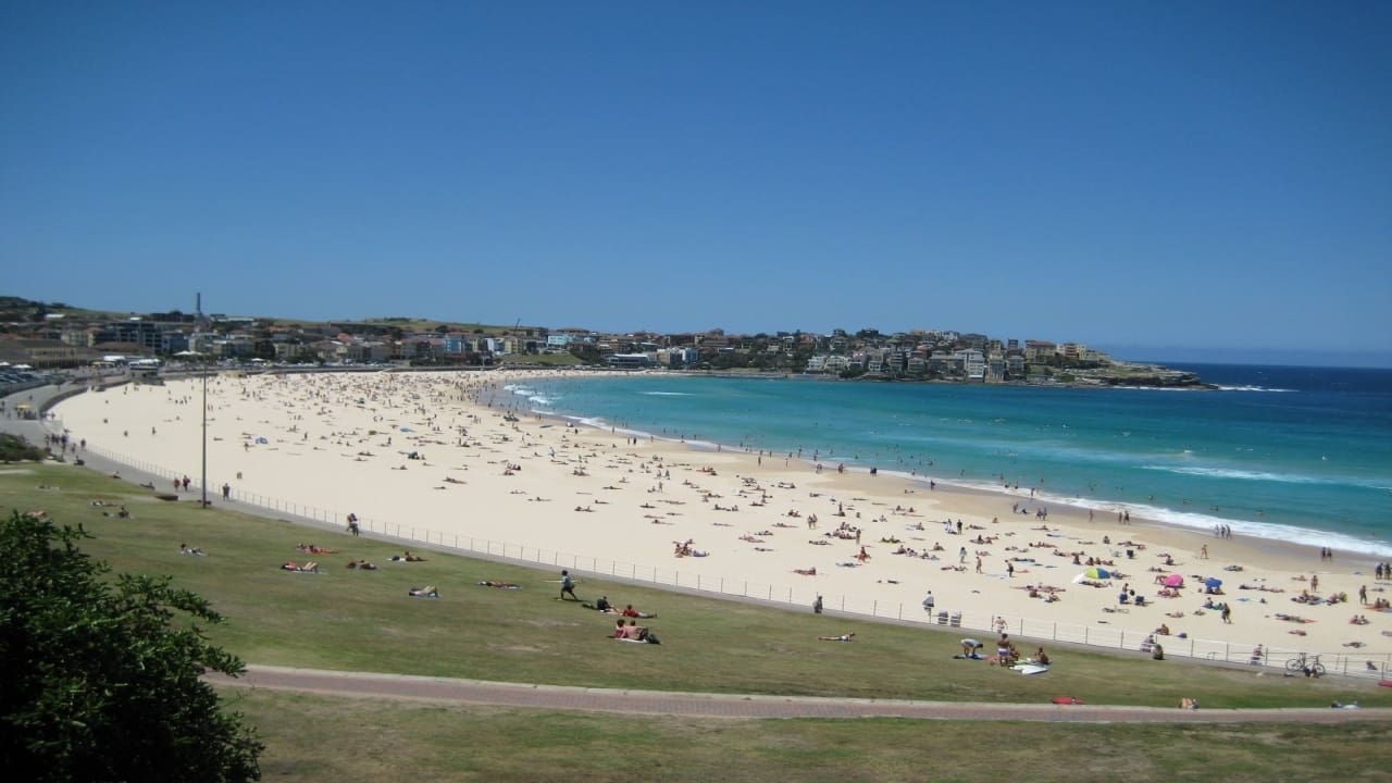 Bondi Rescue