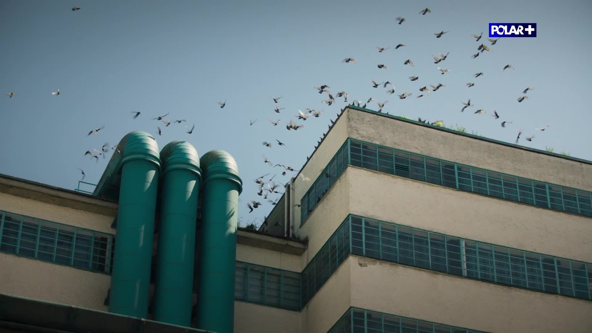 Episode 11