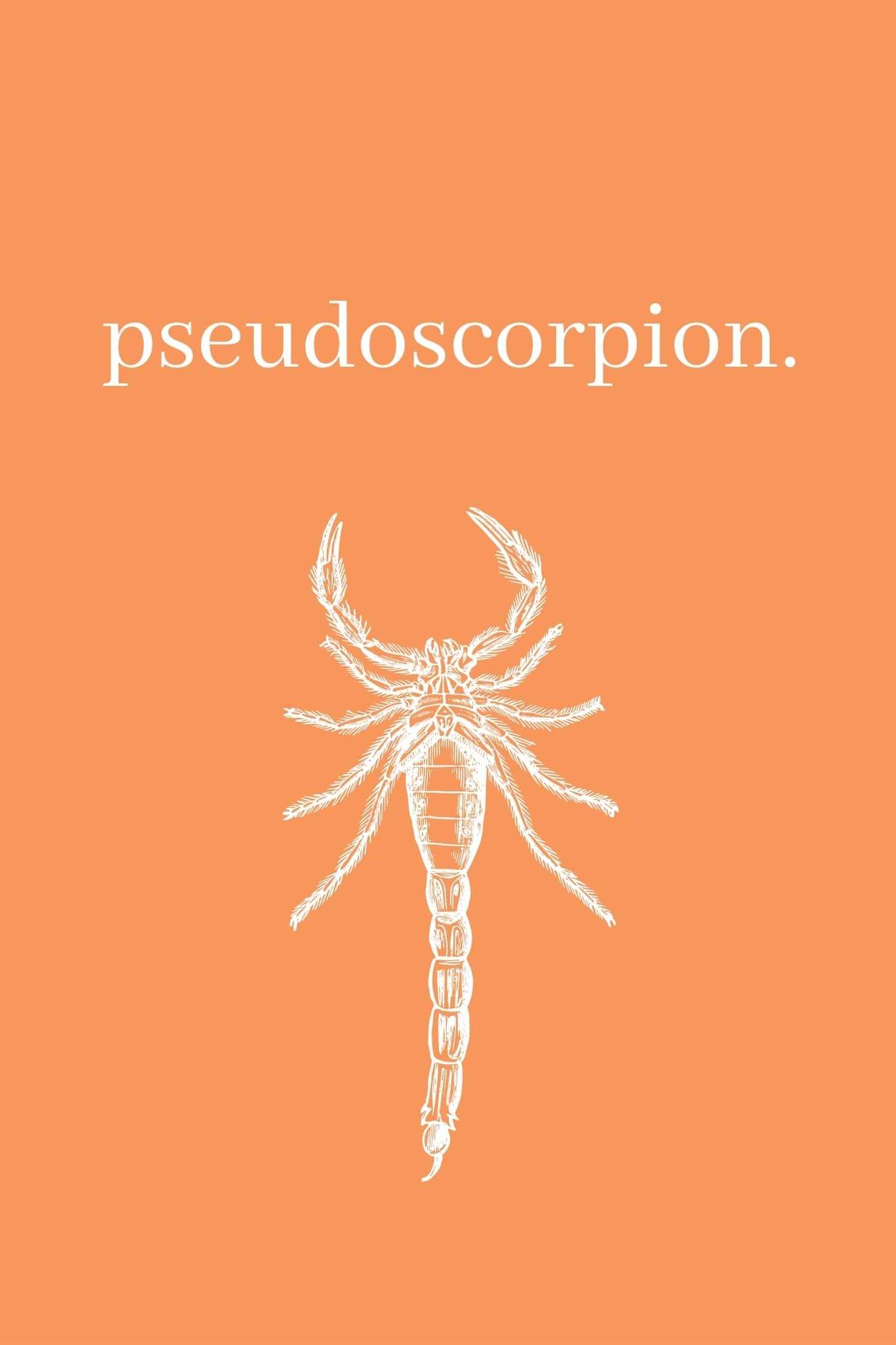 Pseudoscorpion