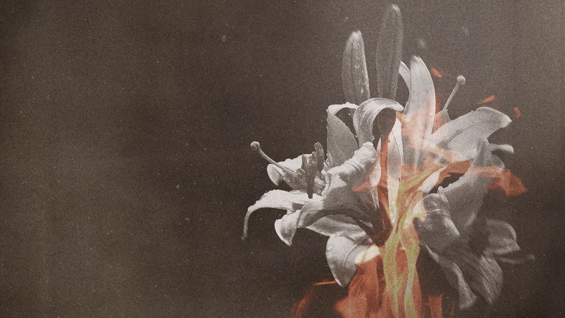 Tortured to Death Murdering the Nanny backdrop