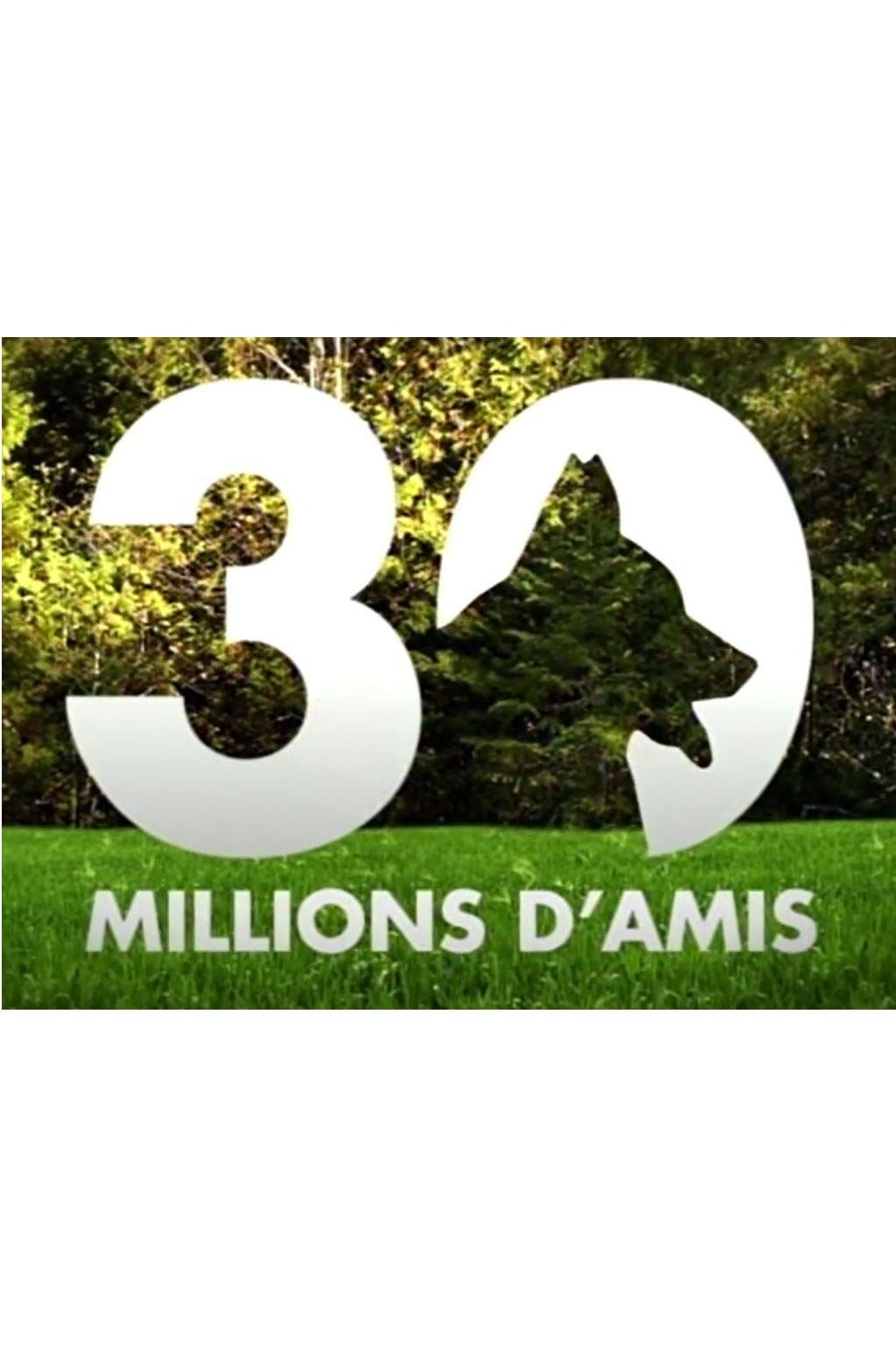 30 millions d'amis poster cover
