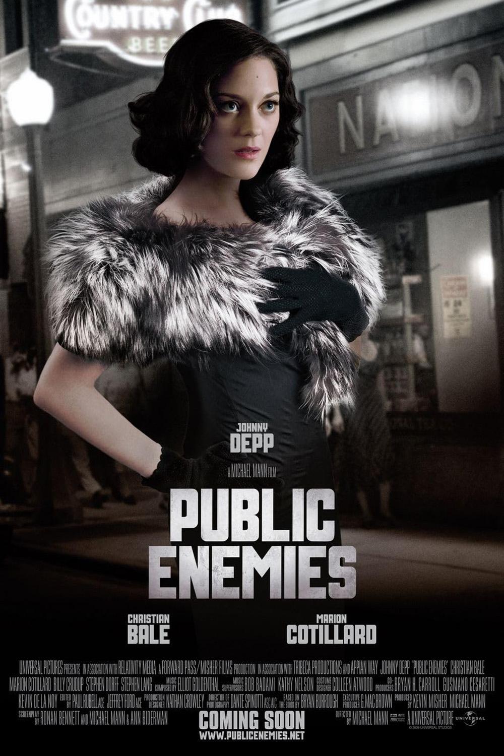Public Enemies