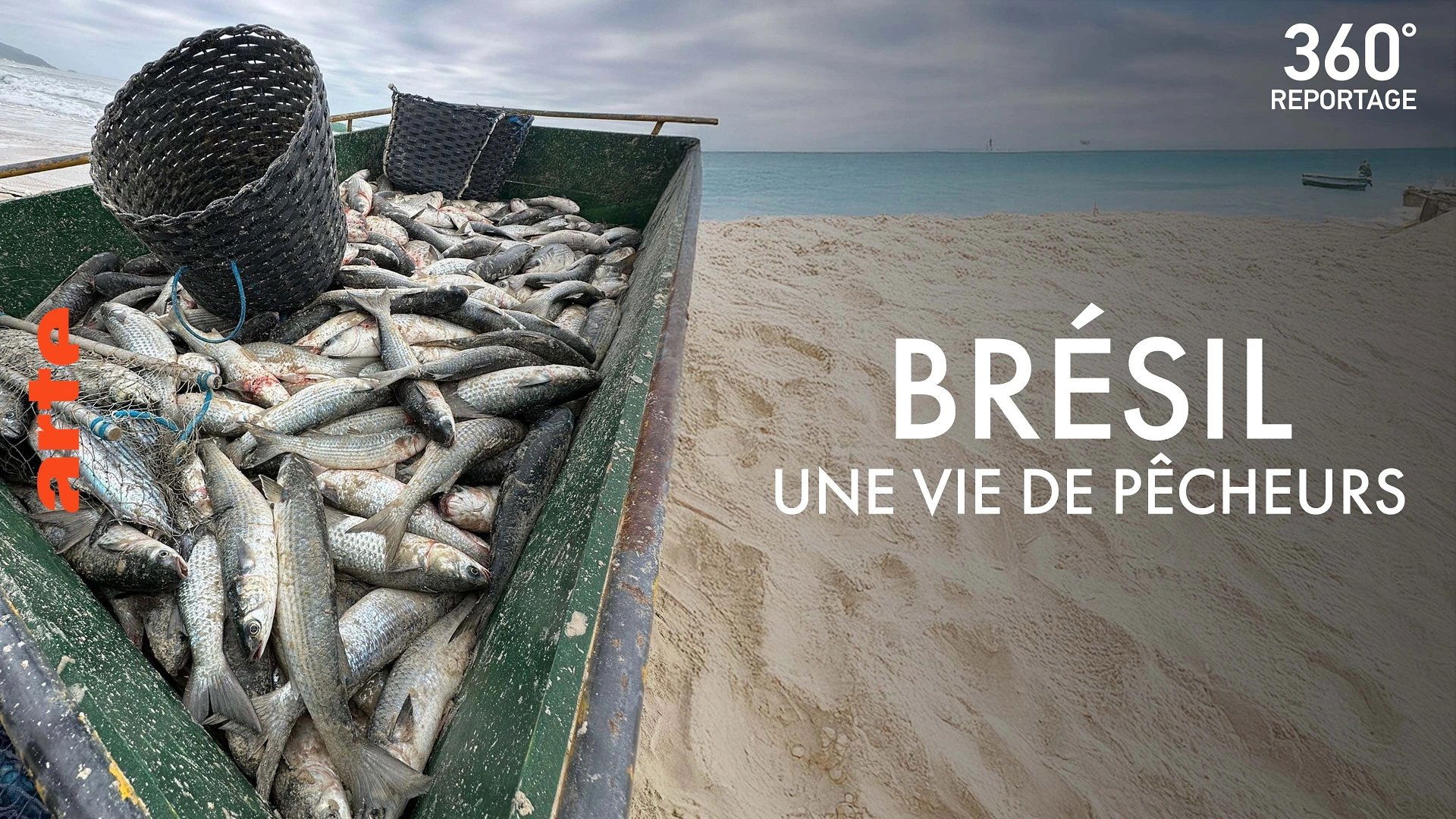 360° - Die GEO Reportage