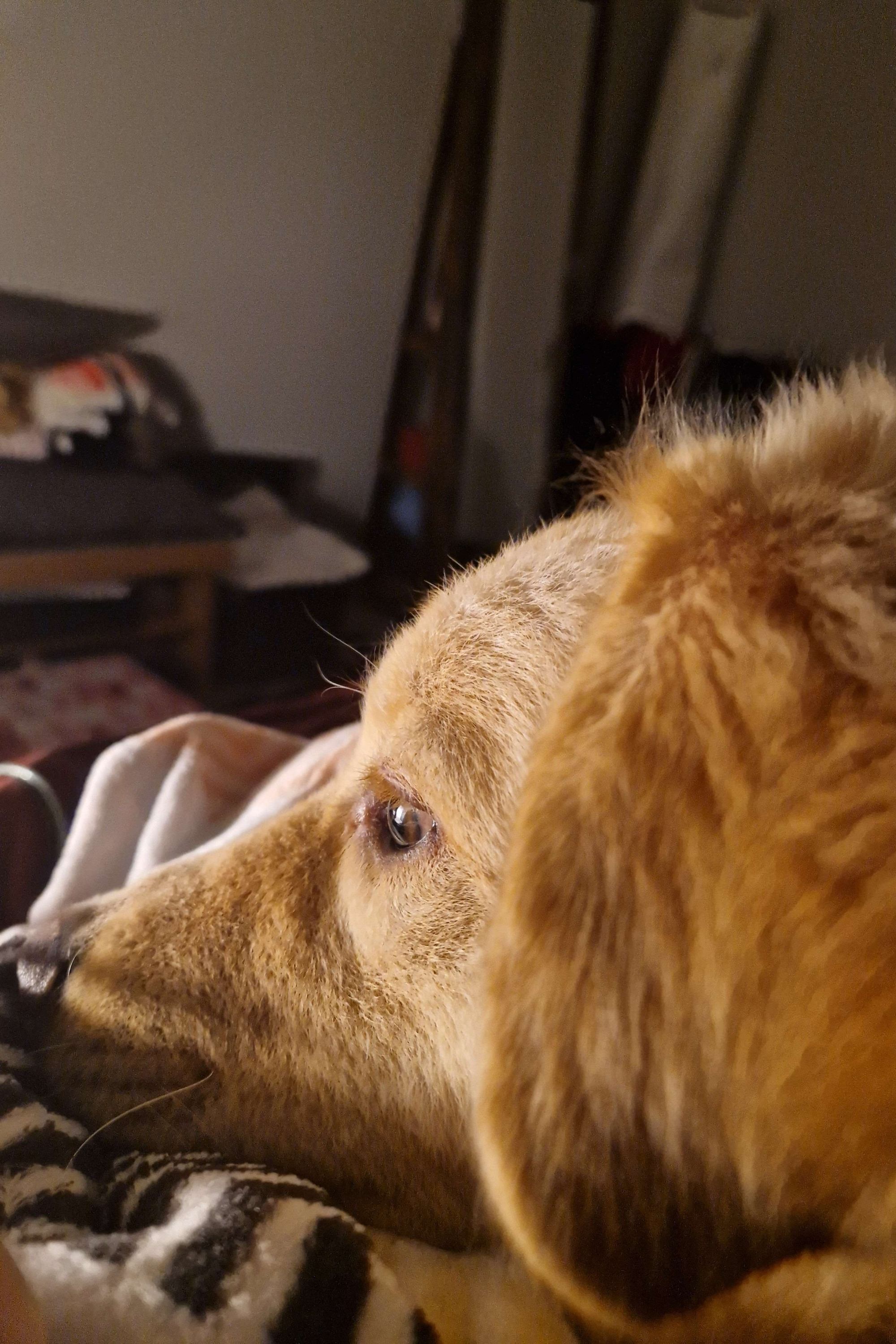 Milo's picture in the cast