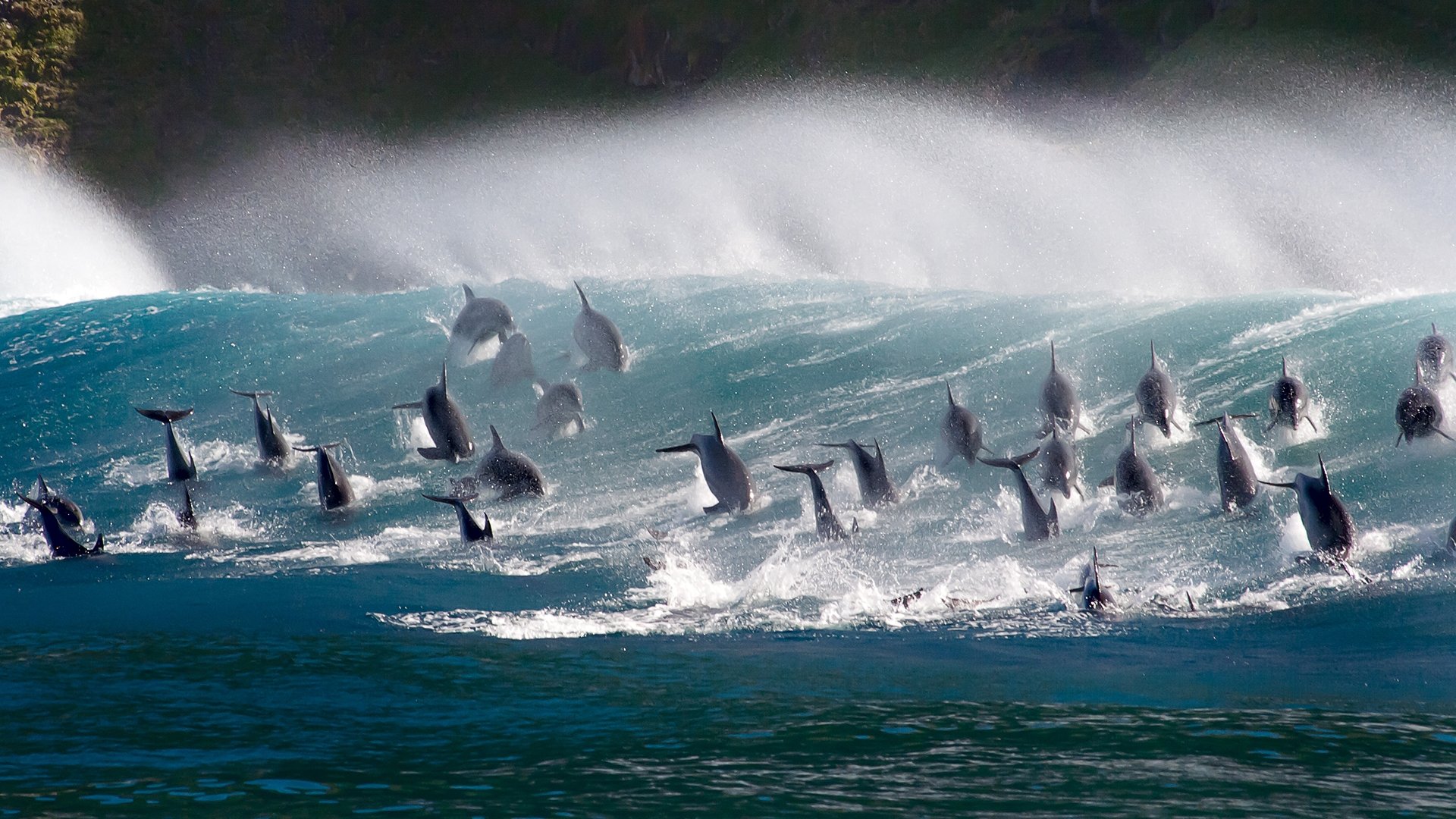 Oceans: Our Blue Planet (2018)