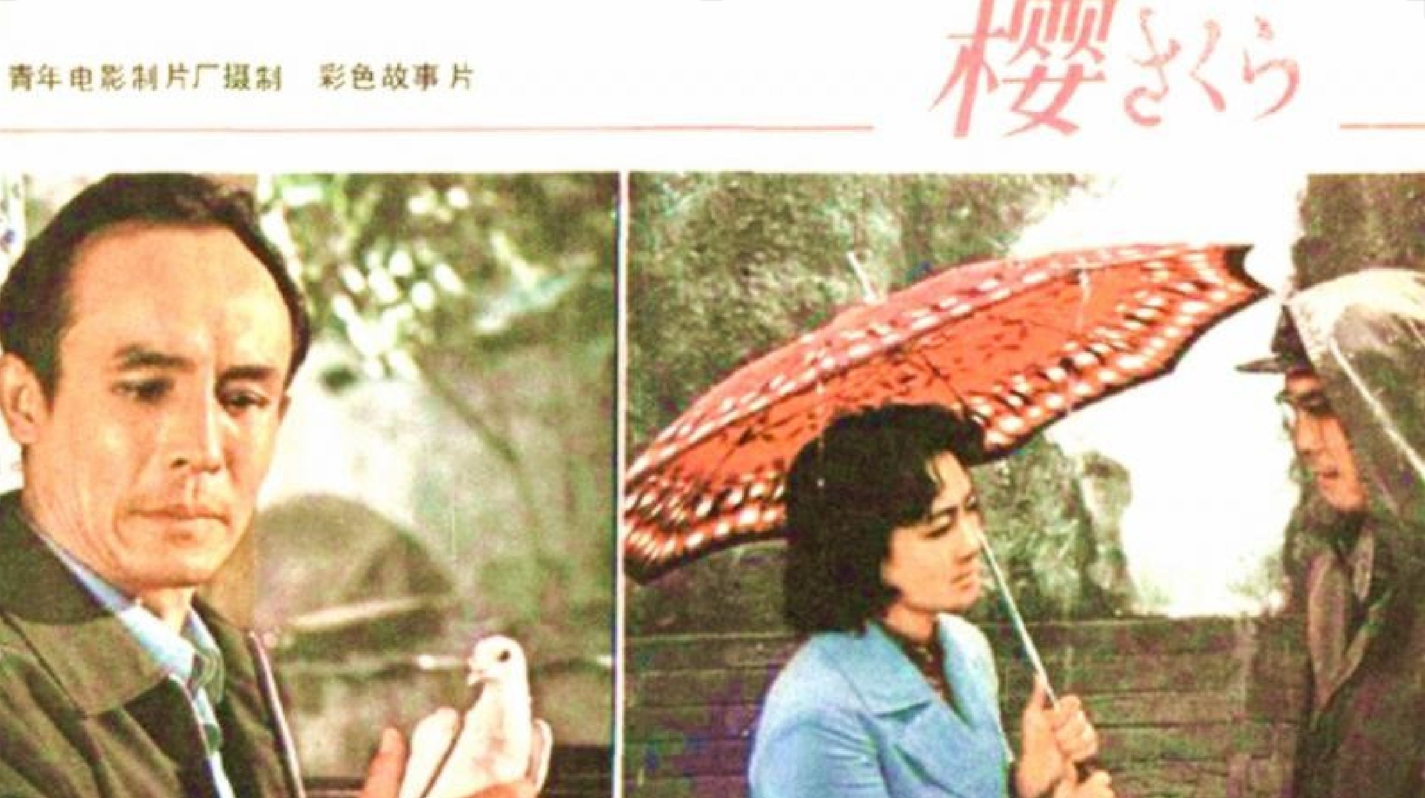 Cherry Blossom (1979)