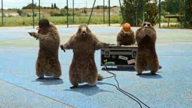 Les Marmottes - Rap