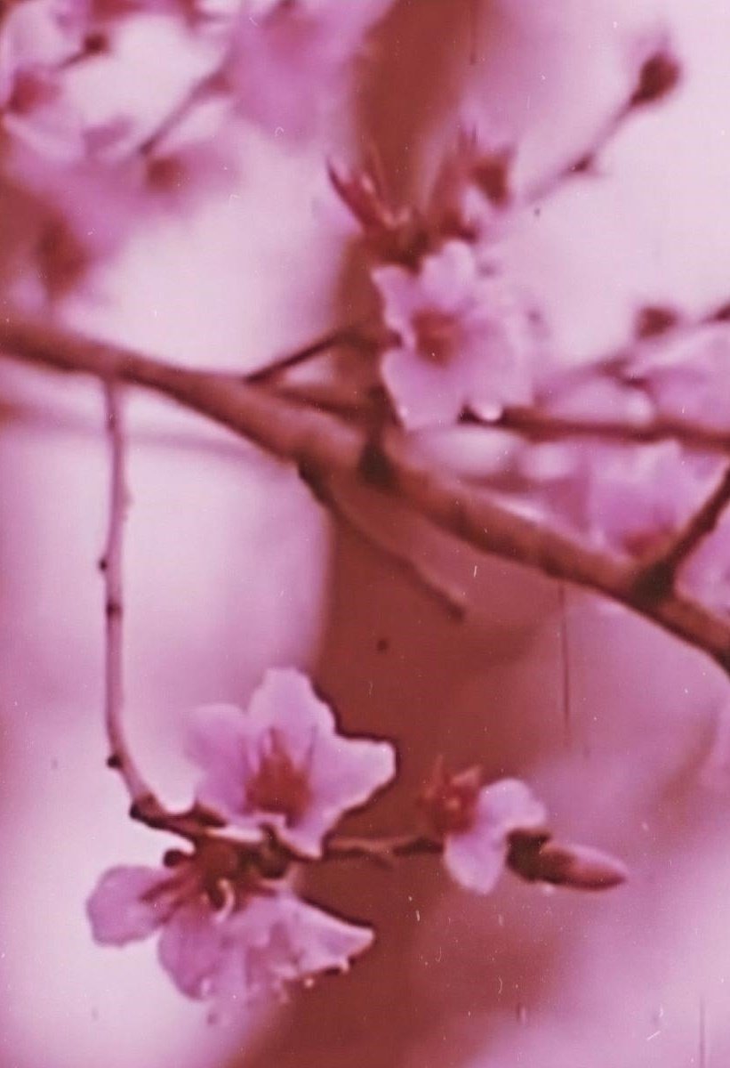 Content cover