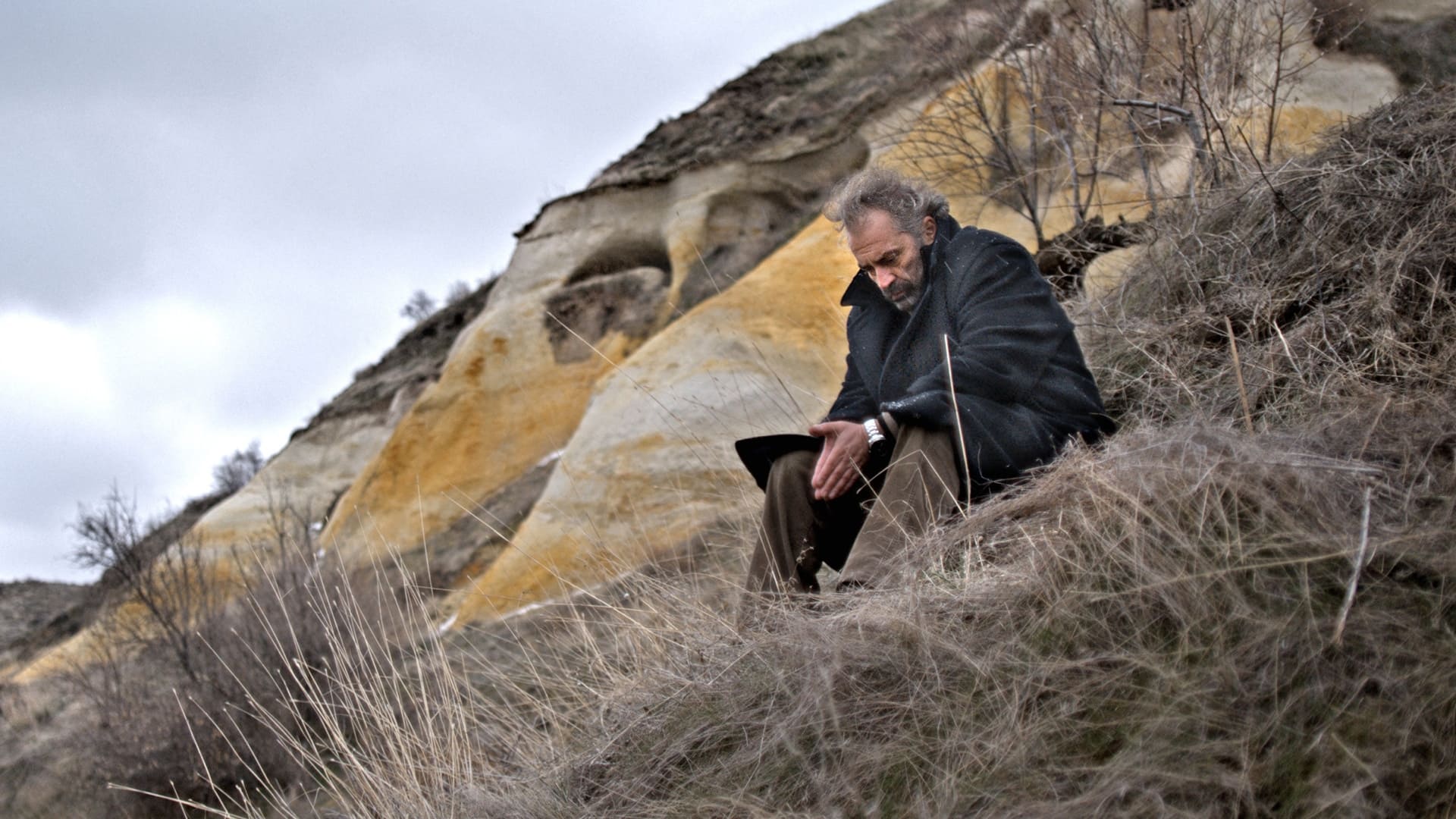 Kış Uykusu (2014)